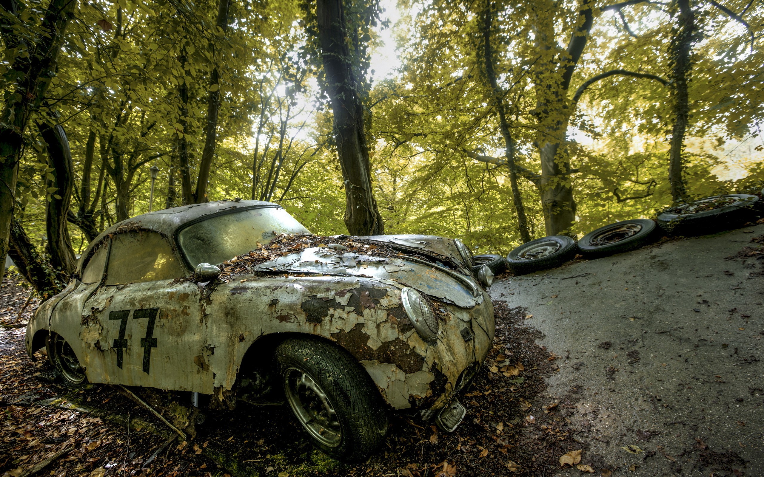 Abandoned vintage race car in a forest HD Wallpaper