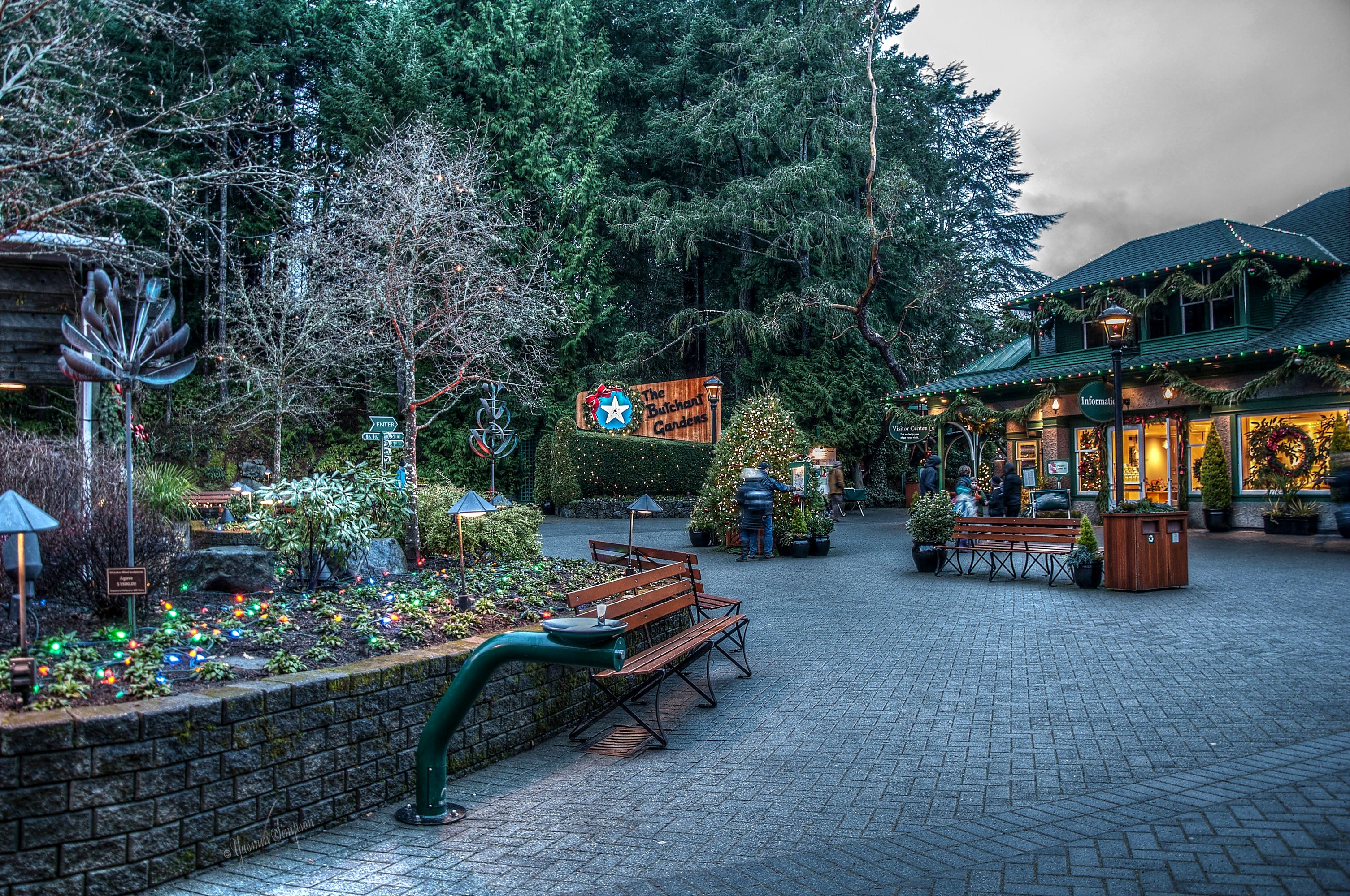 Butchart Gardens decorated for Christmas with fairy lights HD Wallpaper