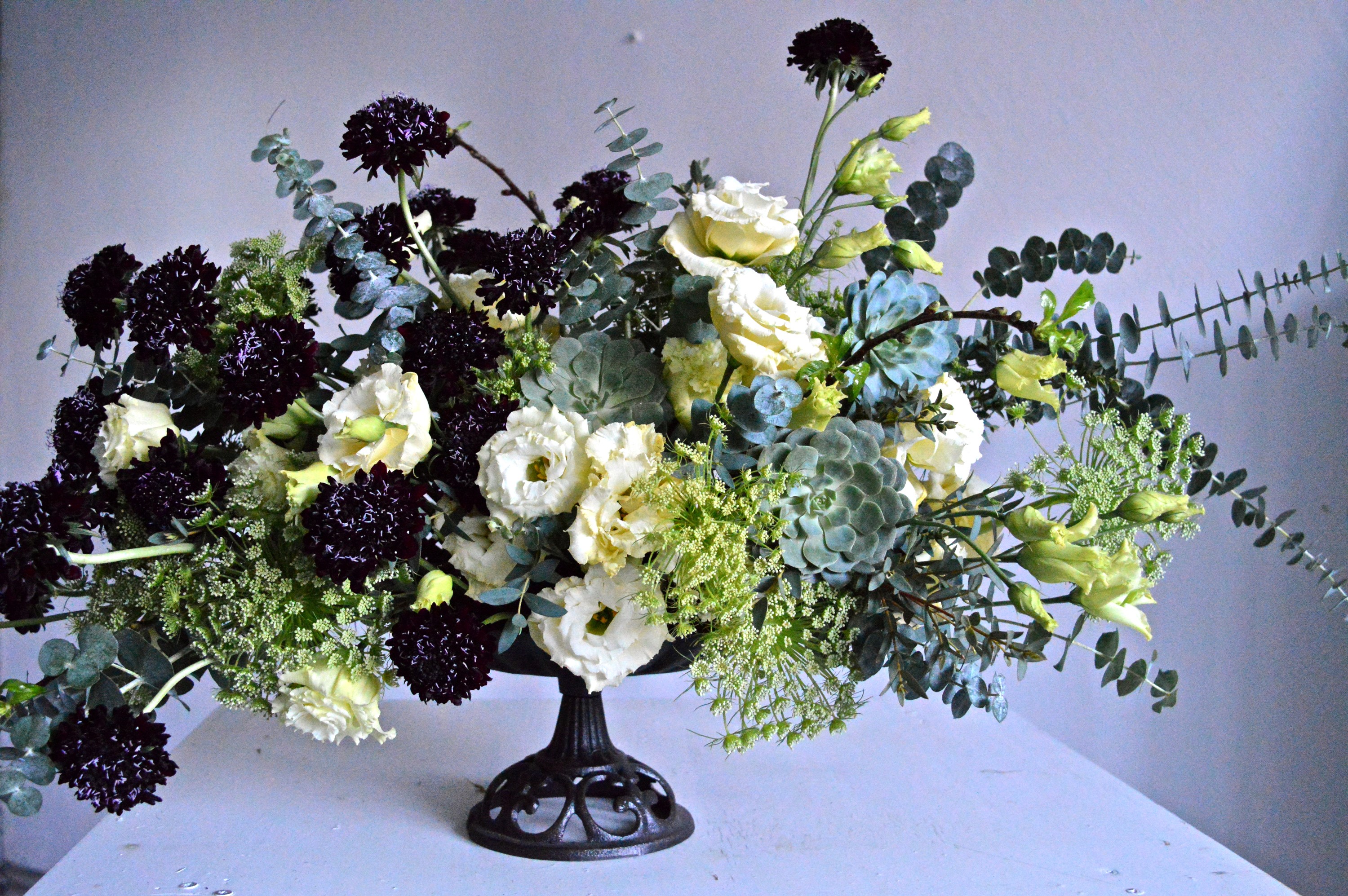 Dark Scabiosa and White Eustoma Floral Arrangement in Vase HD Wallpaper