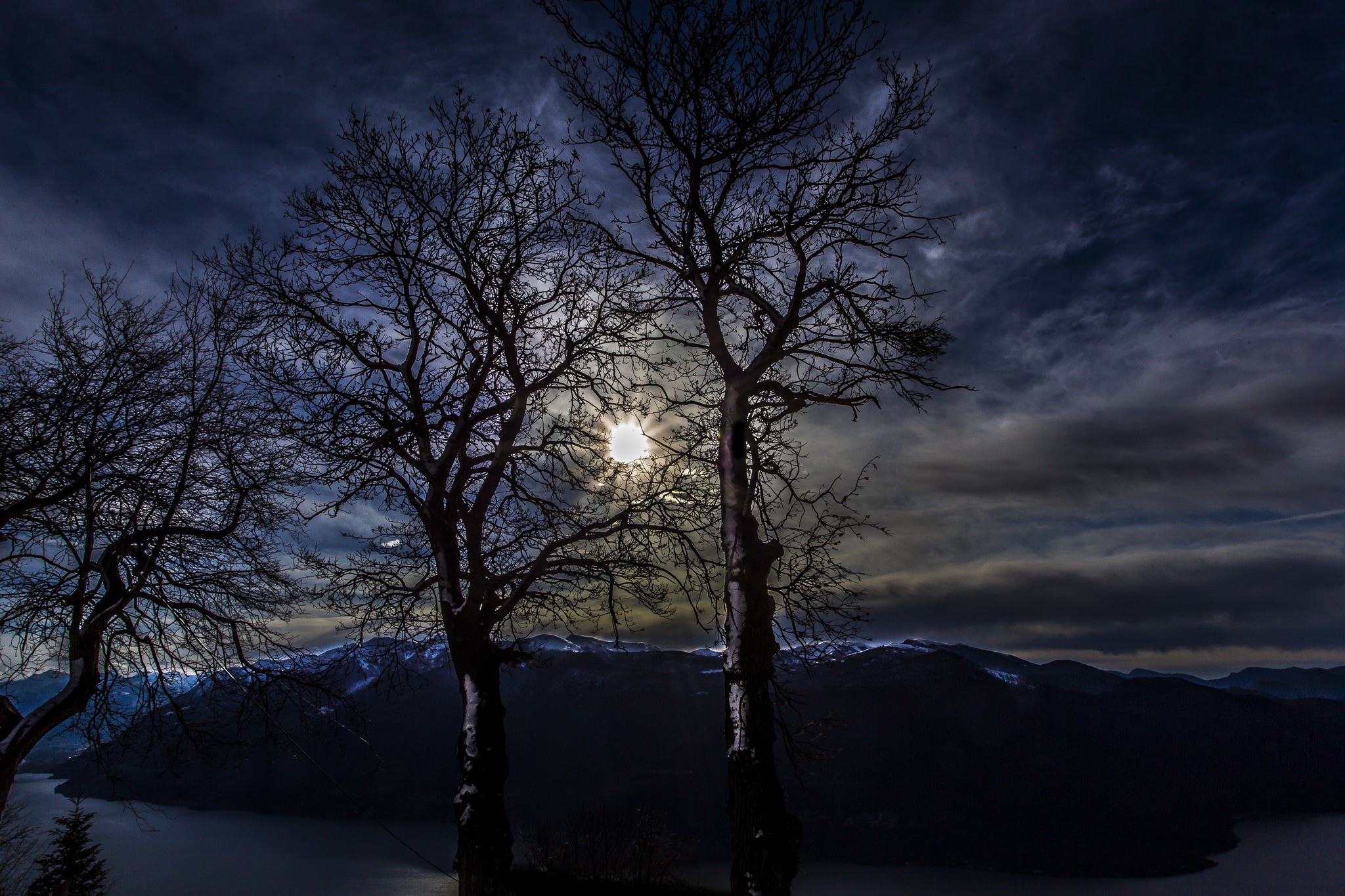 Silhouette trees against moonlit sky over mountains and lake HD Wallpaper
