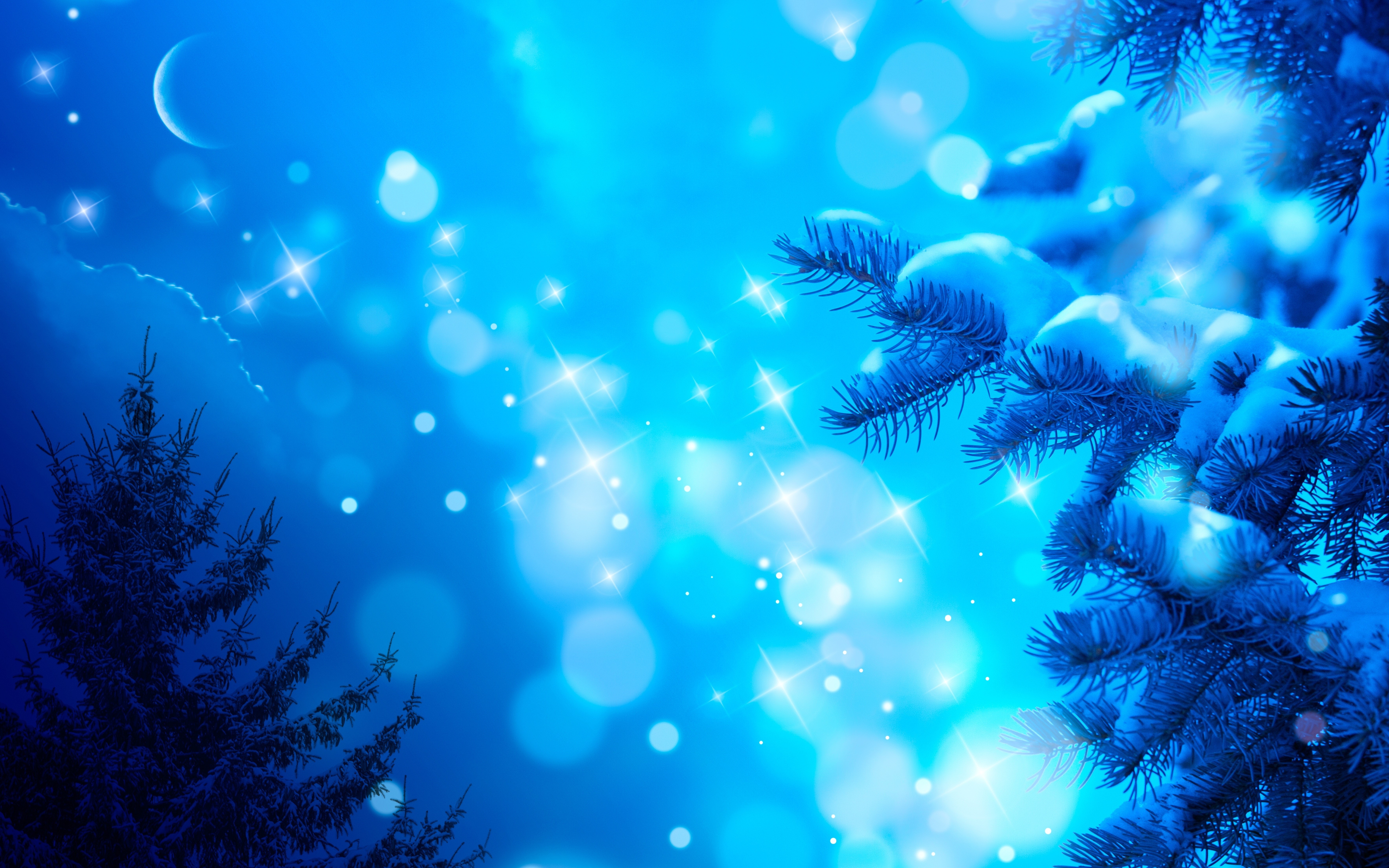 Winter Night with Moon and Snow-Covered Spruce Branches HD Wallpaper