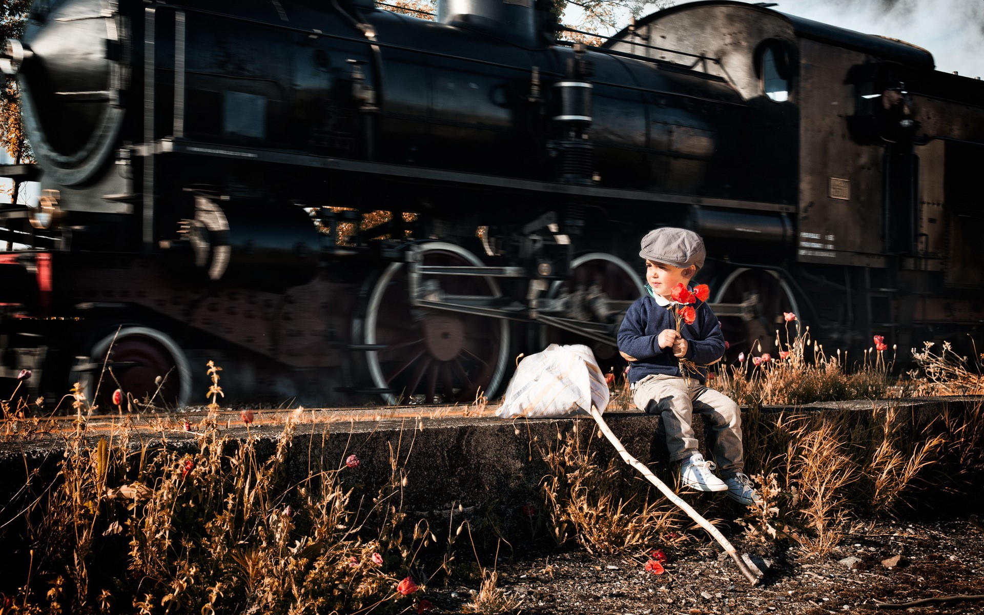 Boy with poppies by a moving train HD Wallpaper
