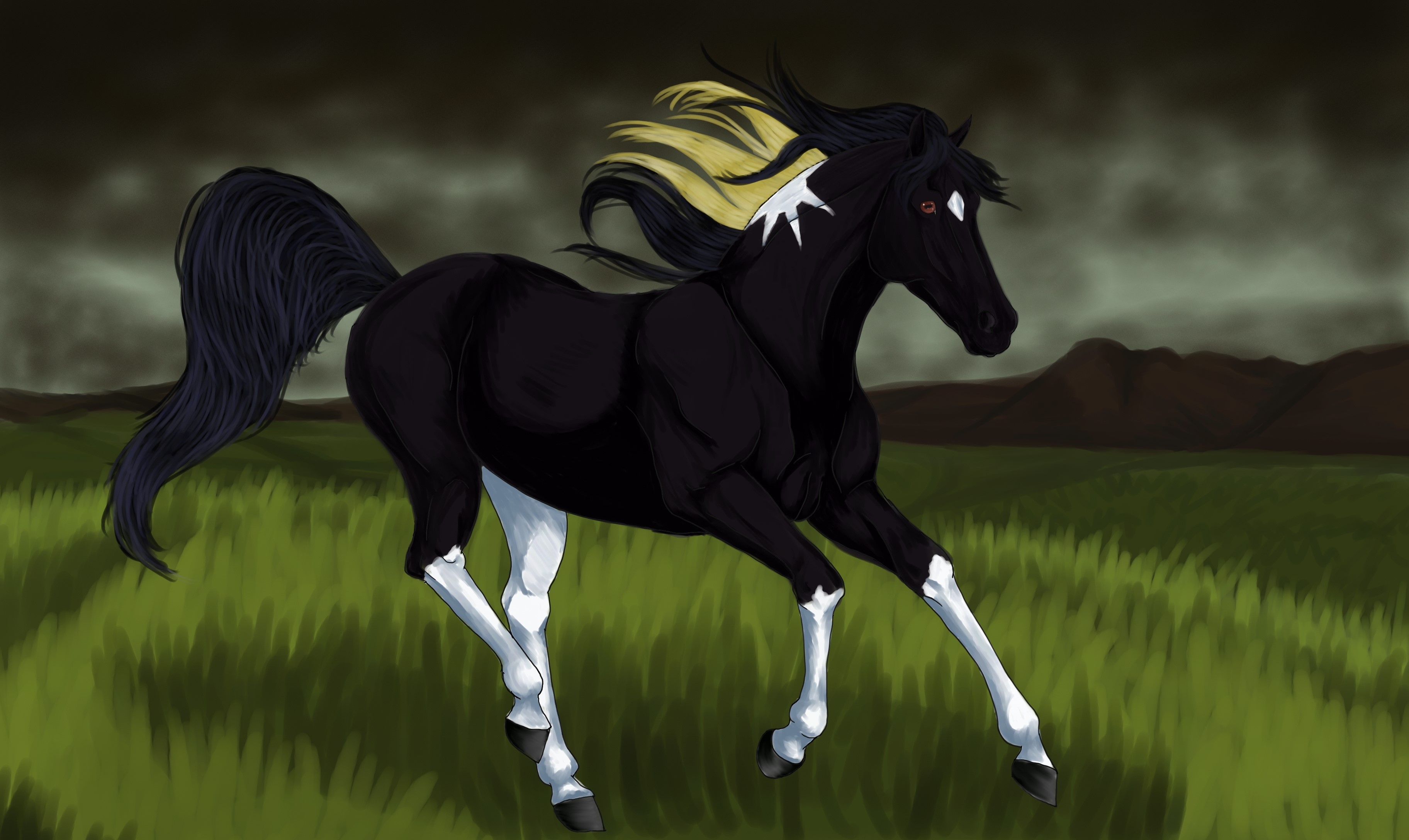 Black horse running in a field HD Wallpaper