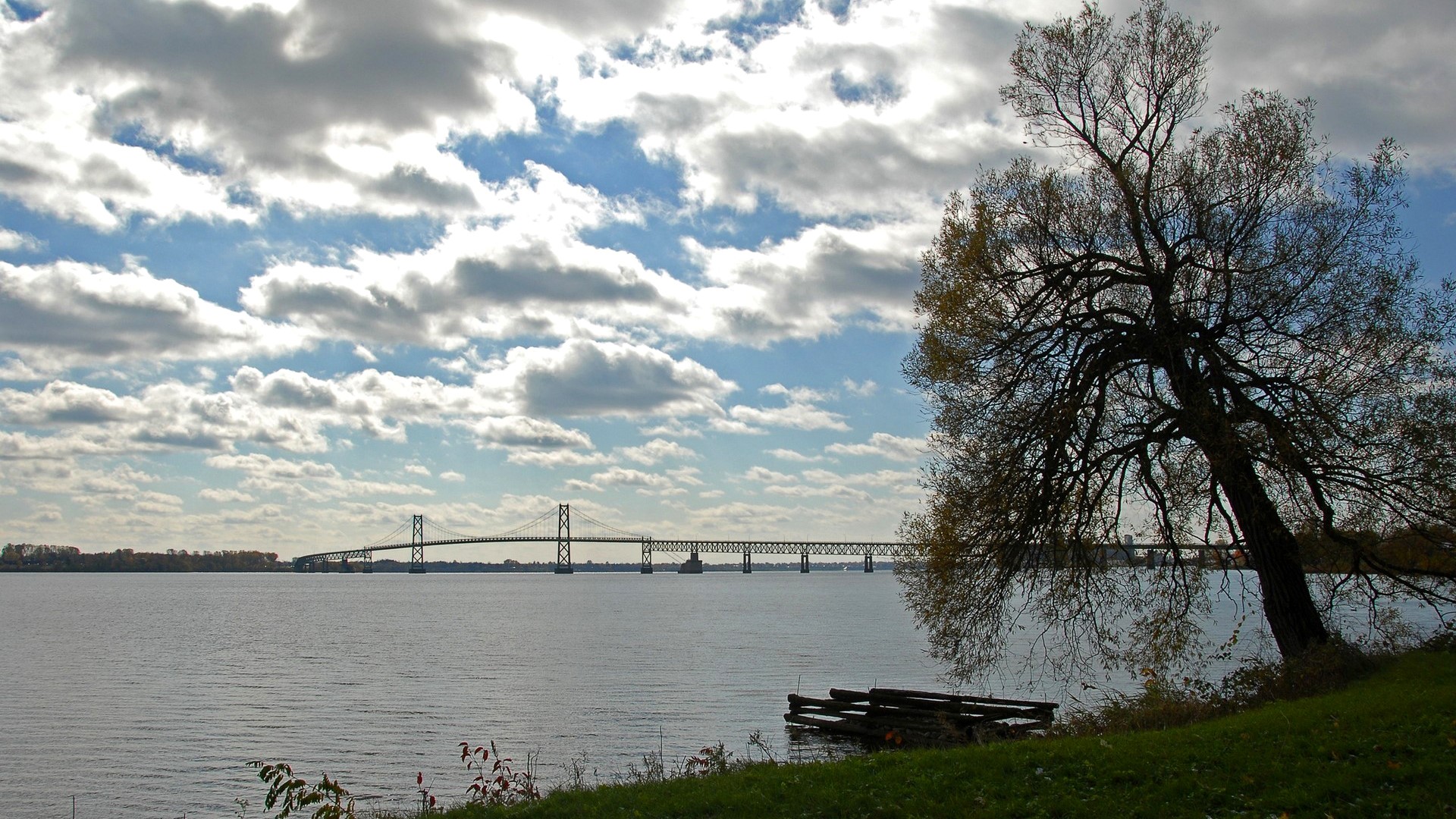 Bridge over a wide river with a large tree in the foreground HD Wallpaper