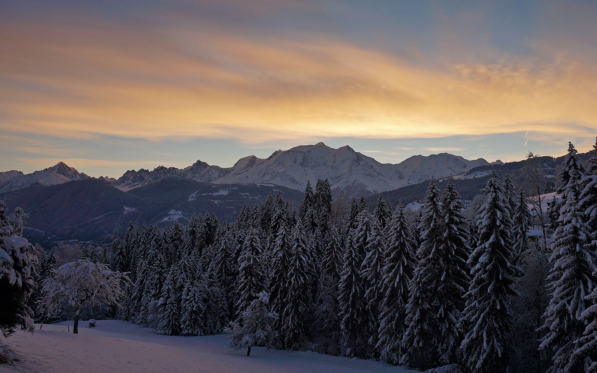 Snowy Mont Blanc mountains at sunset with pine forest HD Wallpaper