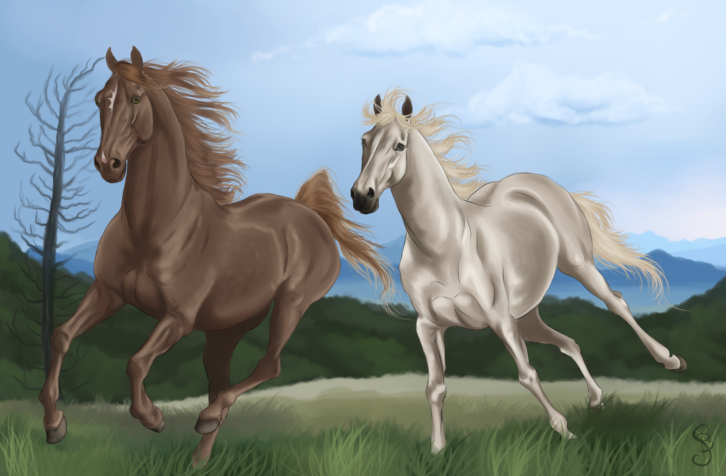 Two horses running in a field HD Wallpaper