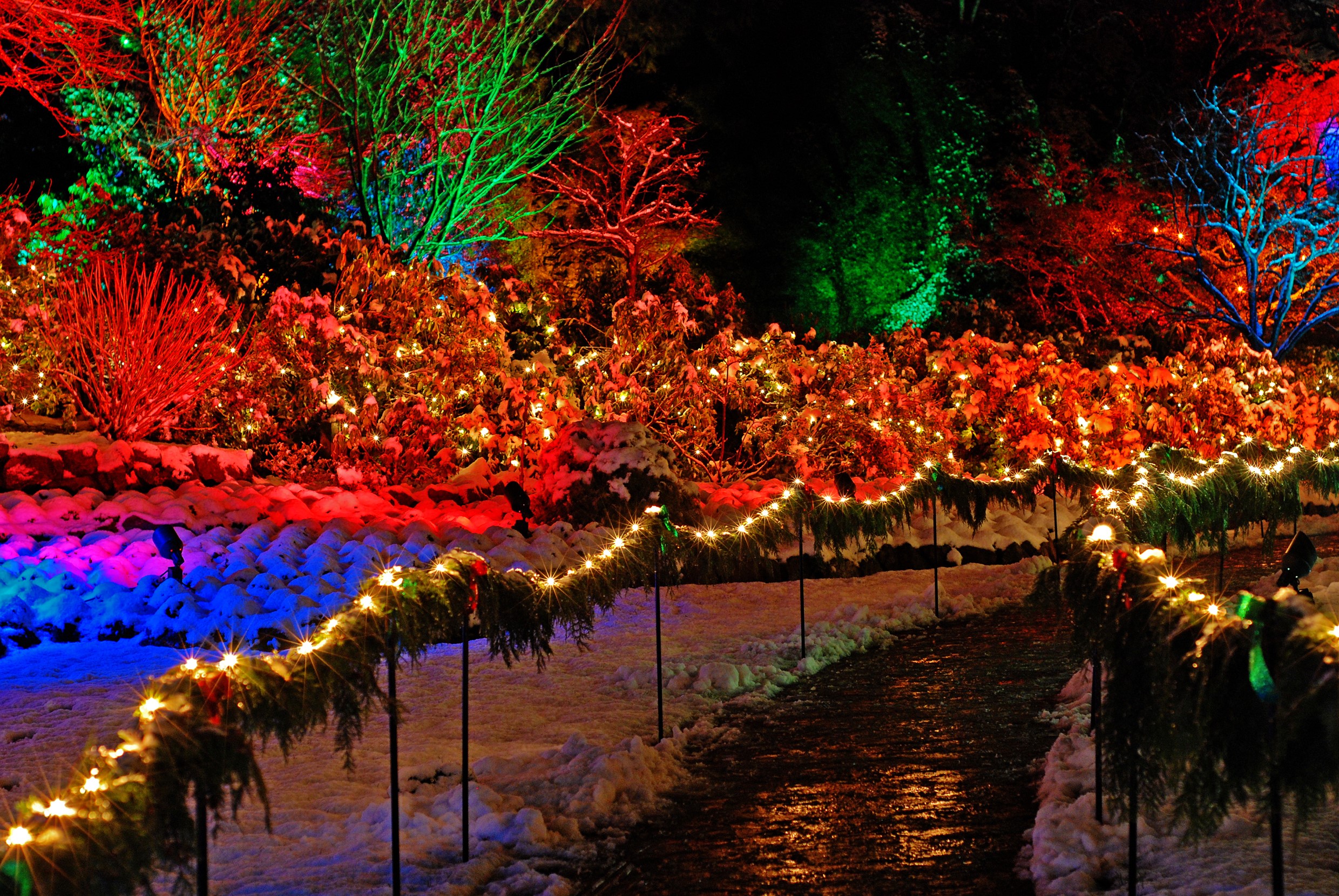 Butchart Gardens Christmas lights in snow at night HD Wallpaper