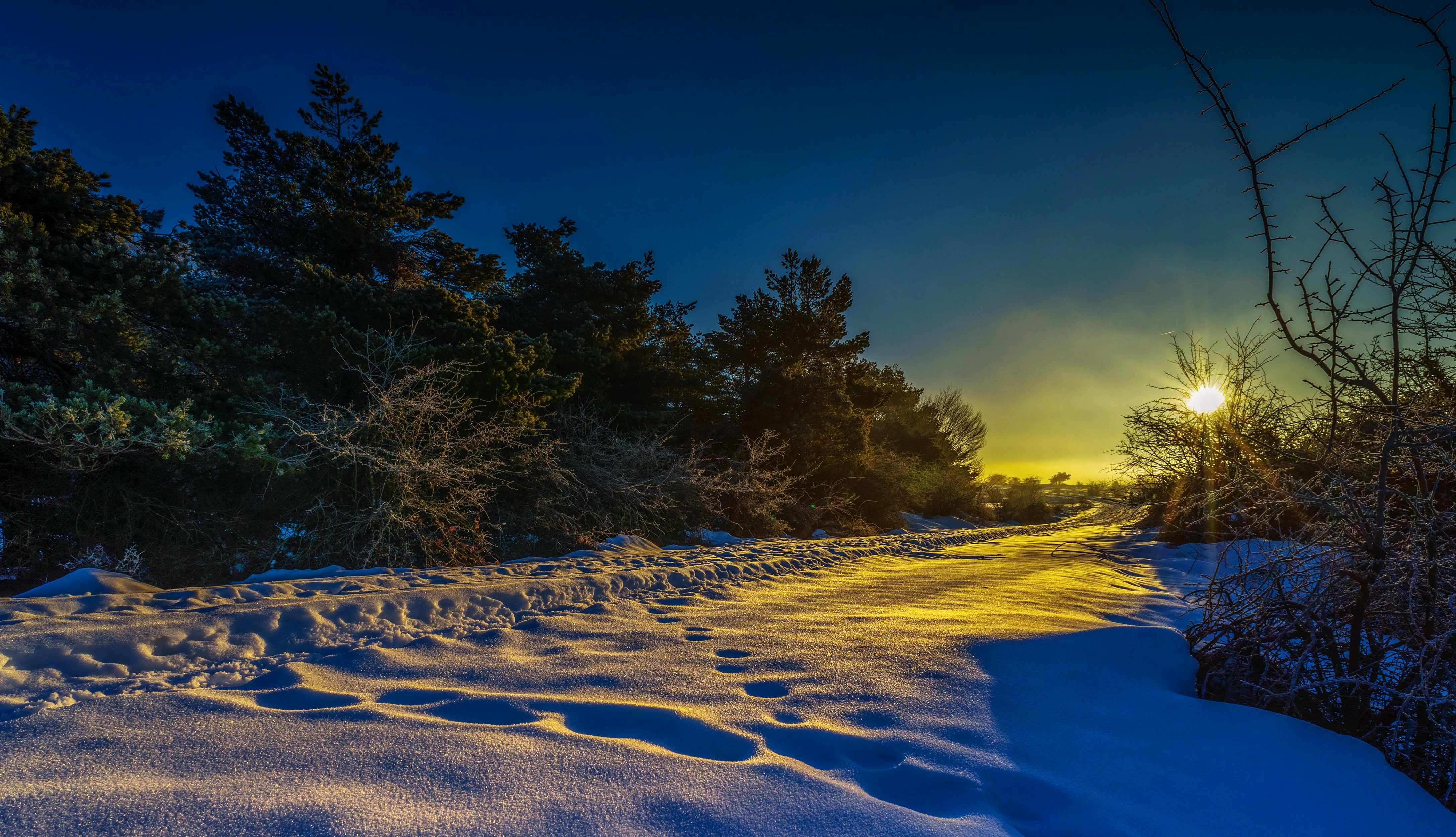 4K Winter Sunset over Snowy Forest Path HD Wallpaper