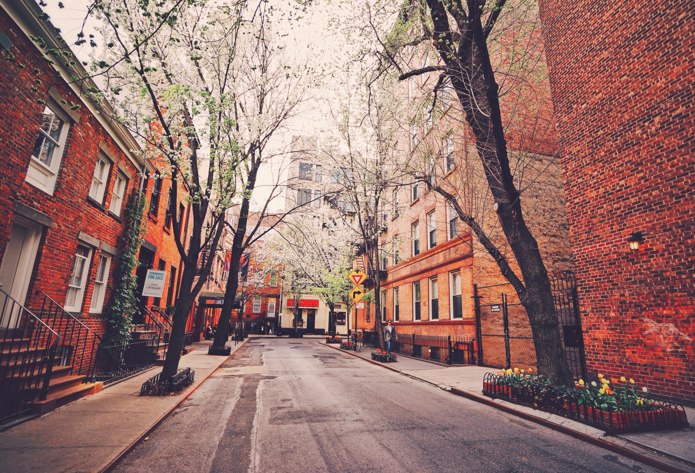 Street in New York City with brick houses and trees HD Wallpaper