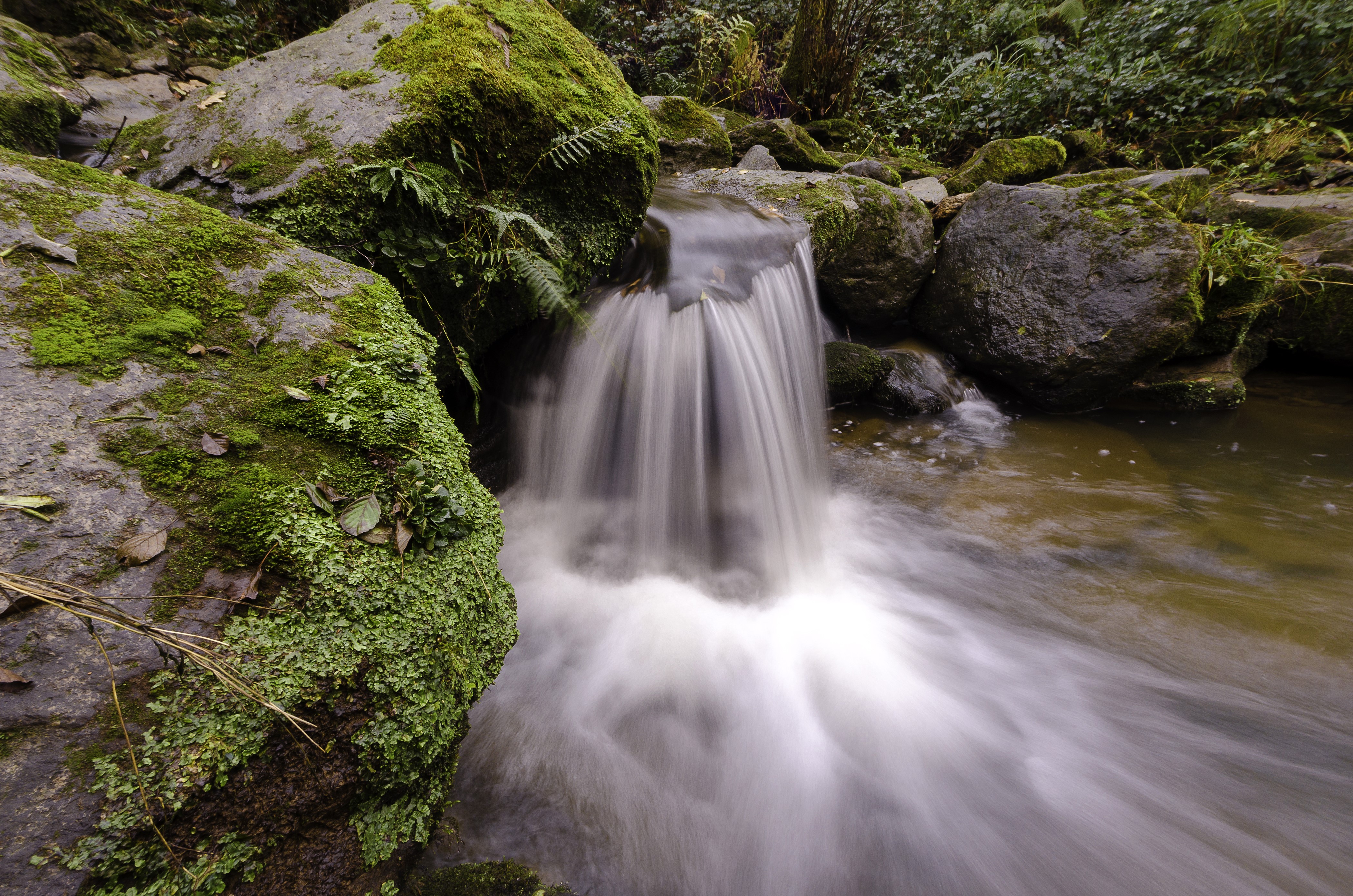4K Waterfalls Stones Moss HD Wallpaper