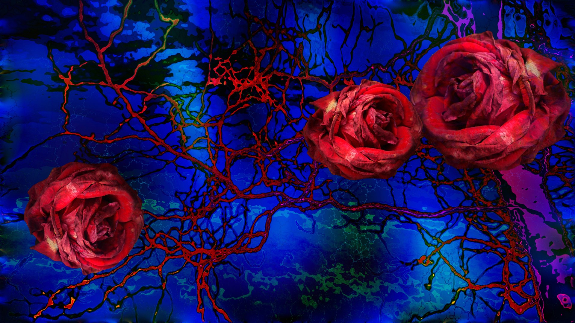 Three red roses on a blue abstract background with red branches HD Wallpaper