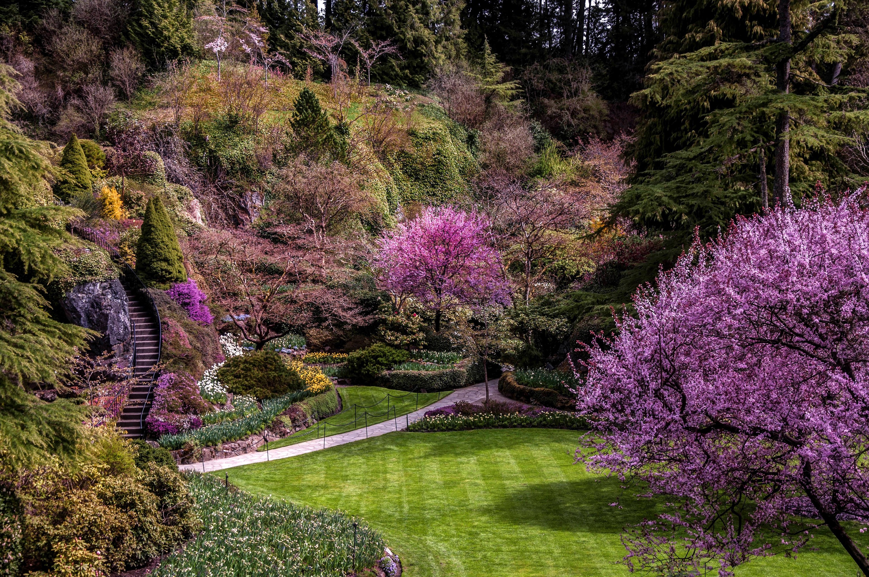 Butchart Gardens in Vancouver, Canada with blooming trees and stairs HD Wallpaper