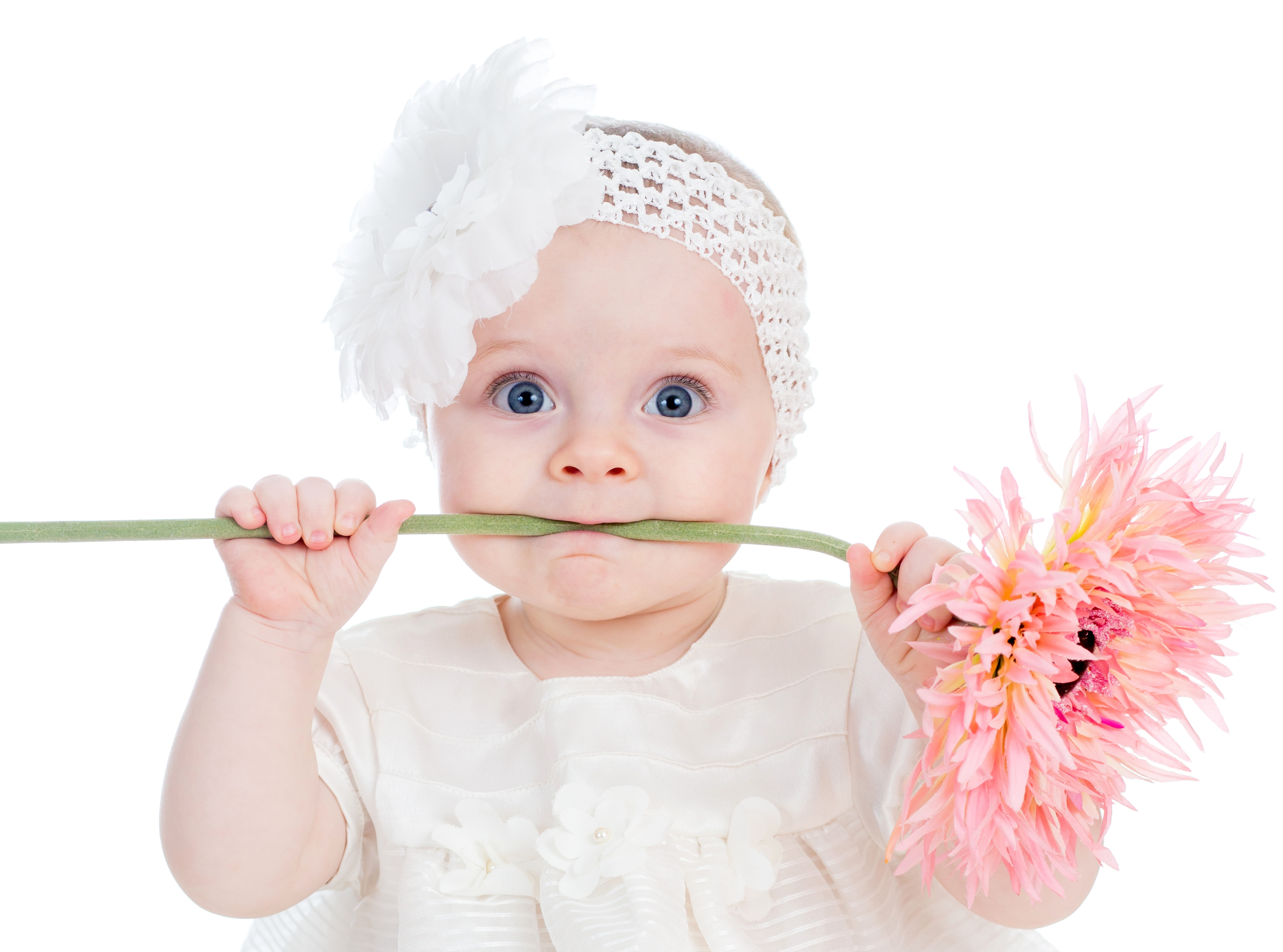 Baby girl with pink dahlias HD Wallpaper