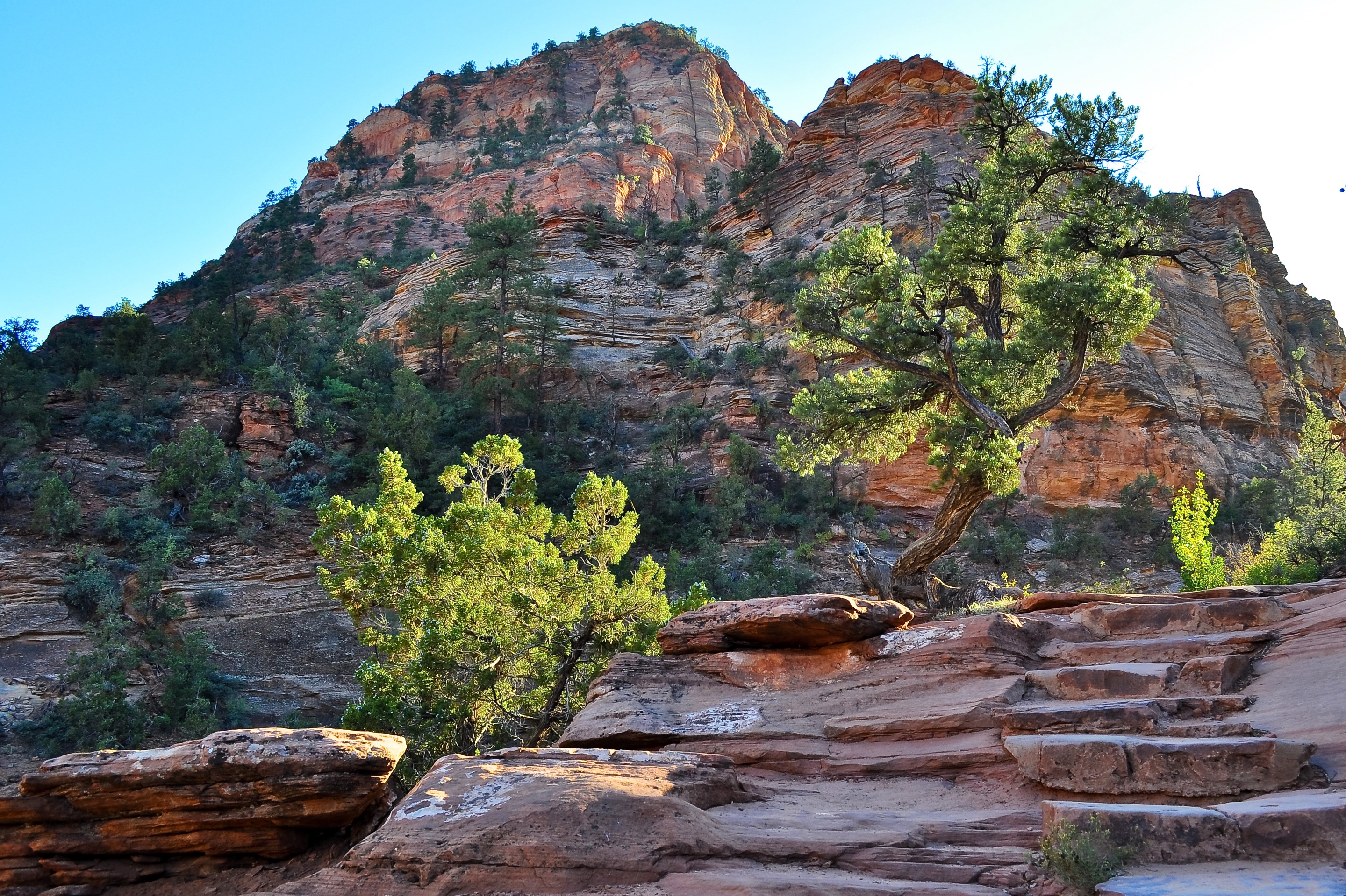 Rocky mountain landscape with trees and stairs HD Wallpaper