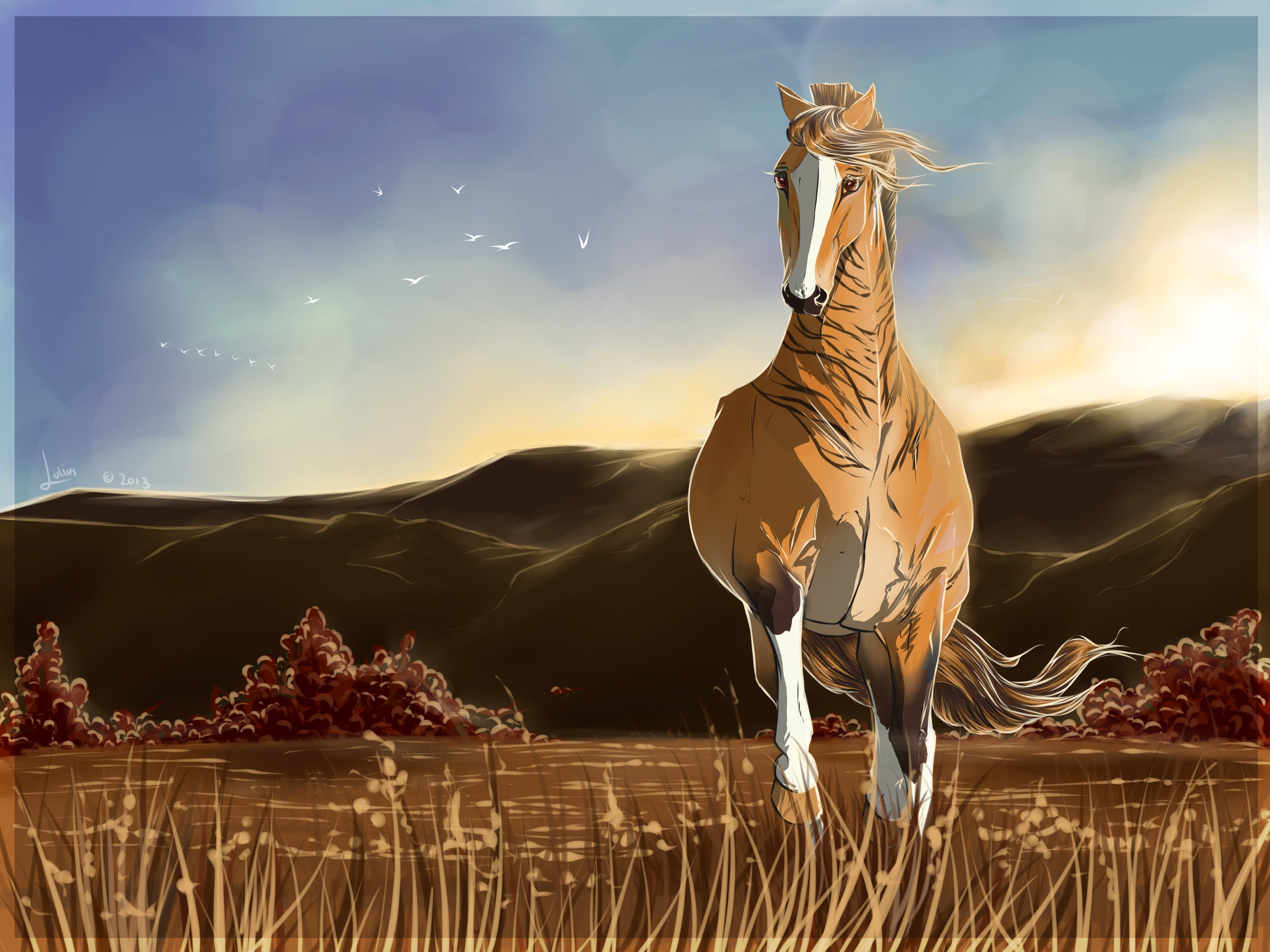 Horse running in a field at sunset HD Wallpaper