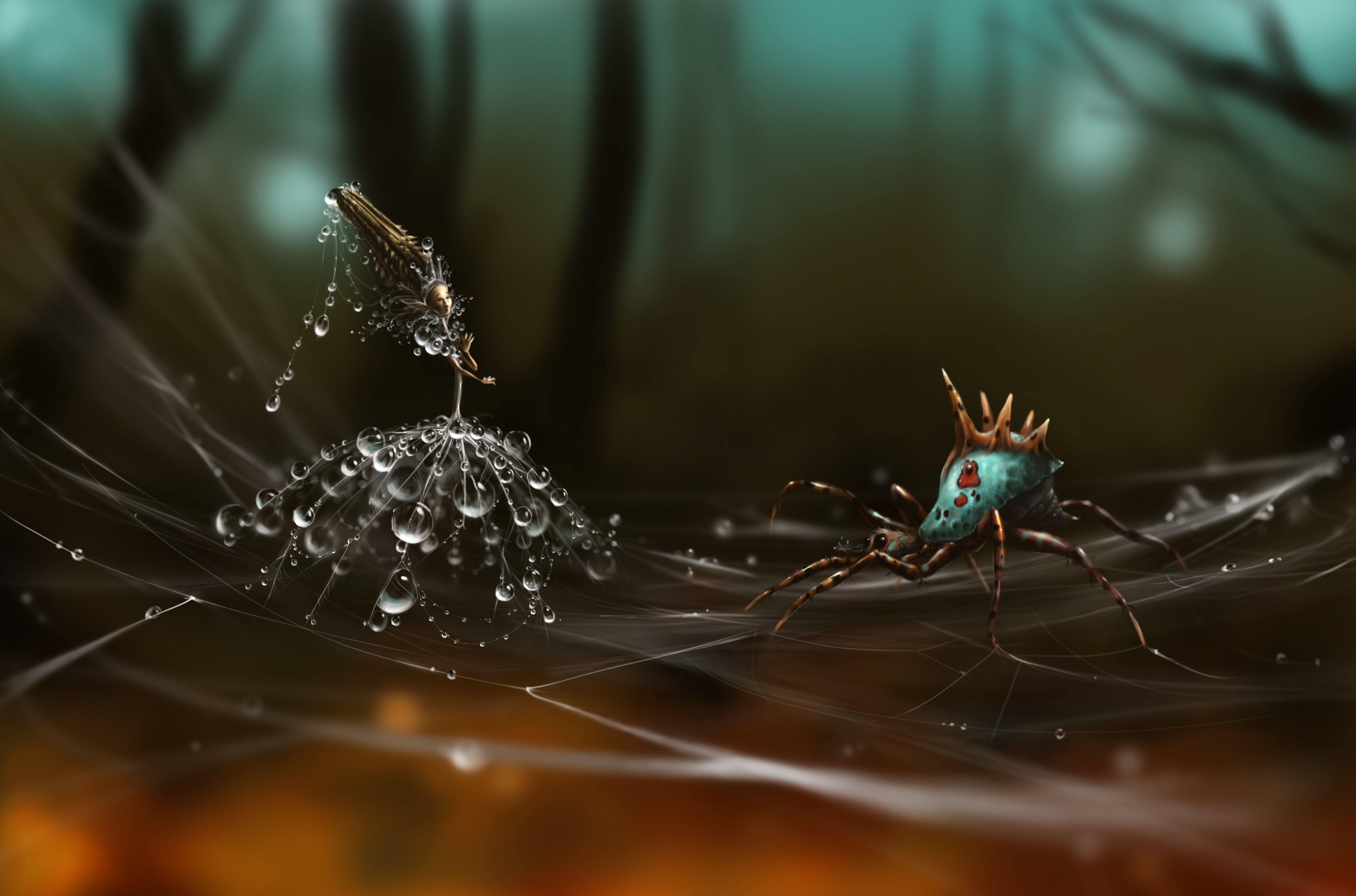 Spider on a web with water drops HD Wallpaper