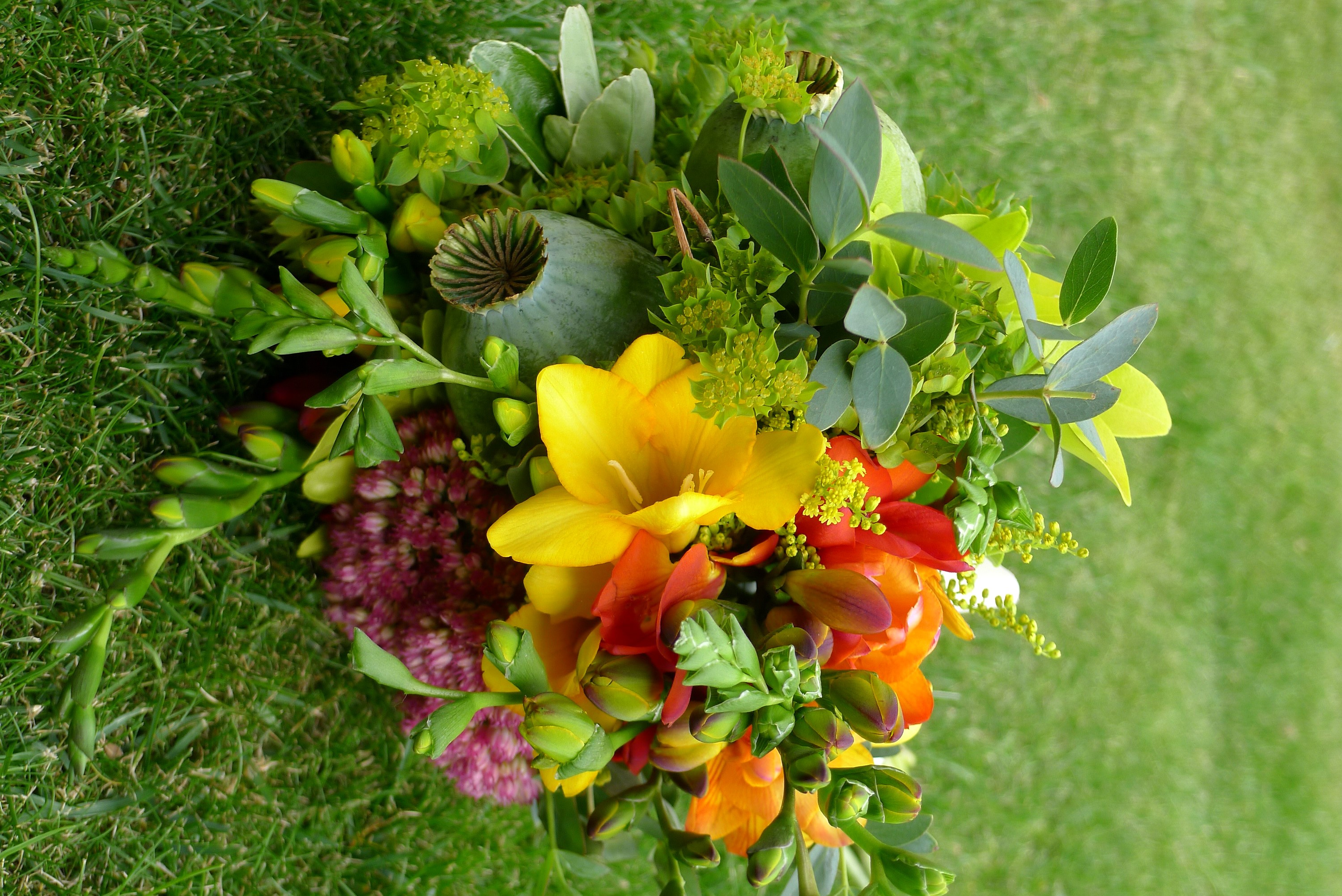 Bouquet of Freesia and Greenery on Grass HD Wallpaper