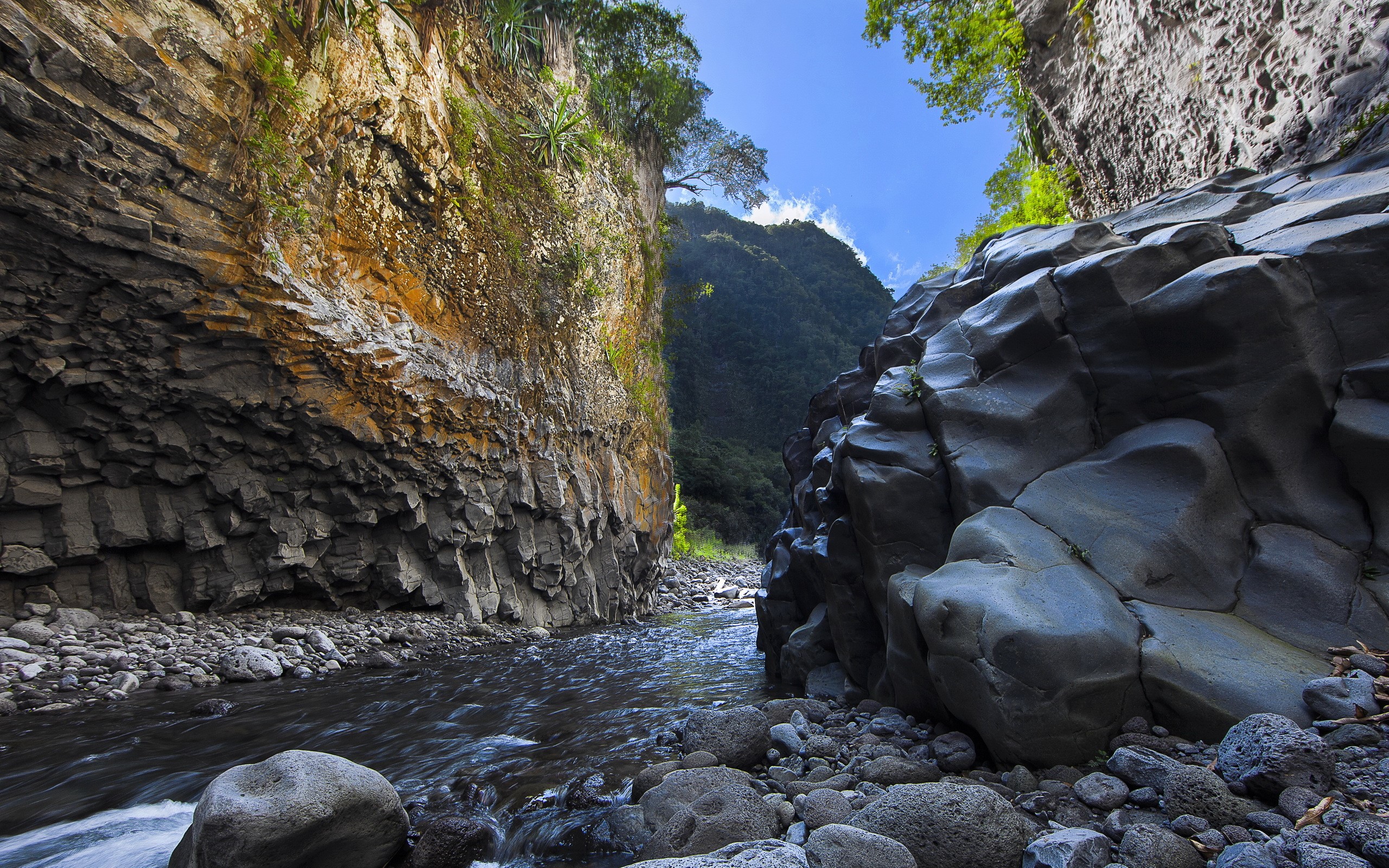 River flowing through a rocky canyon with lush green mountains HD Wallpaper