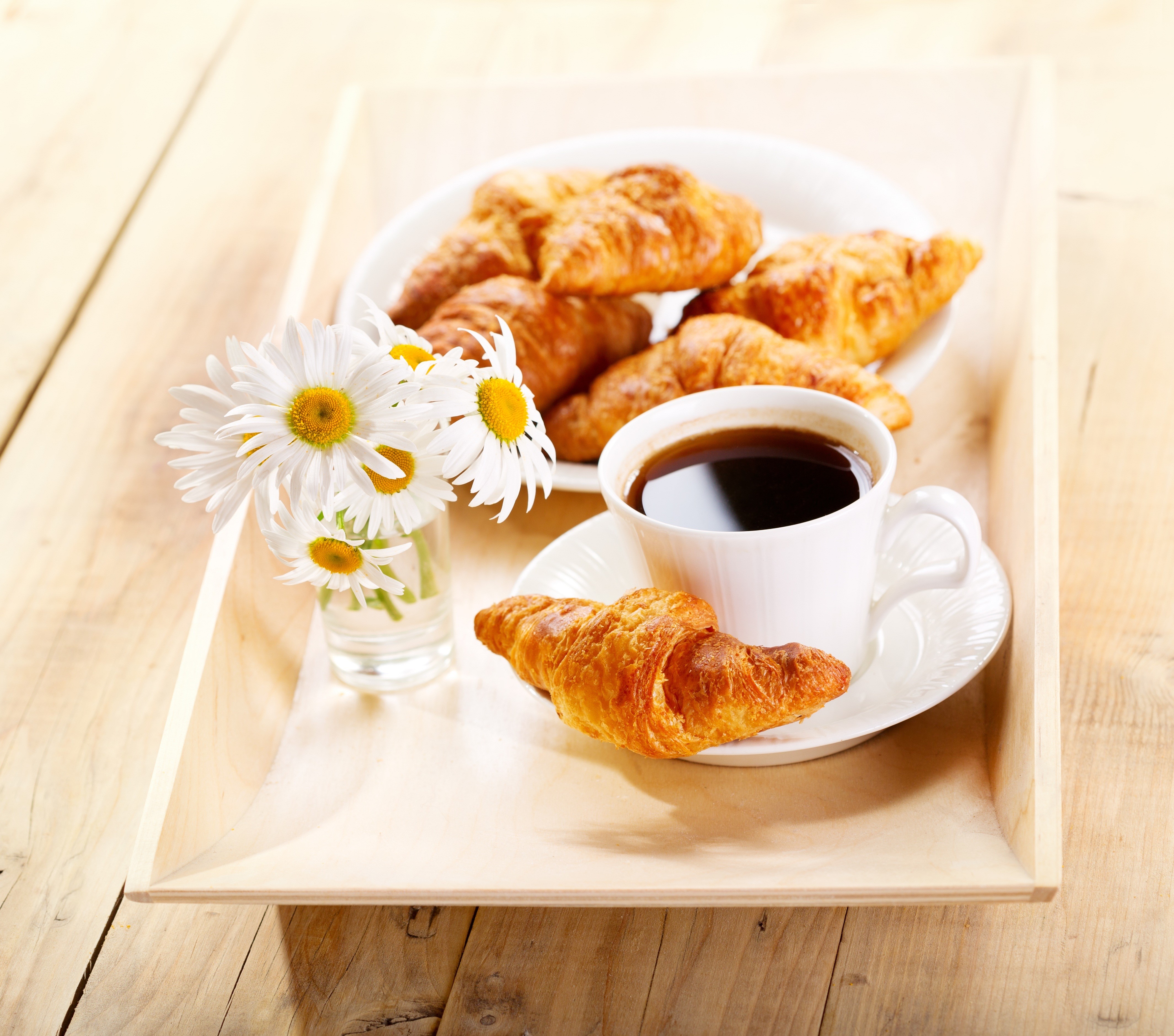 Croissants and coffee with camomiles HD Wallpaper