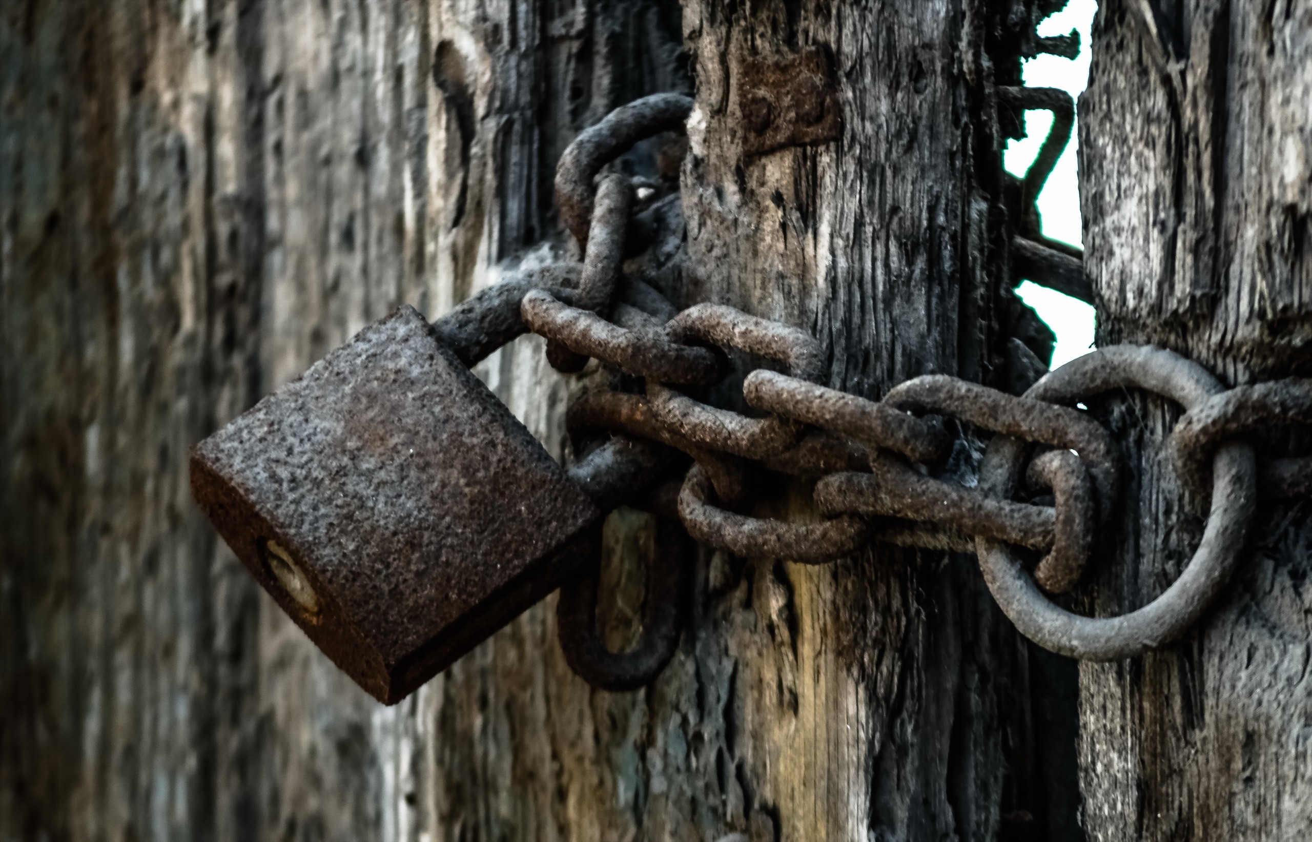 Rusty padlock and chain on weathered wooden door HD Wallpaper