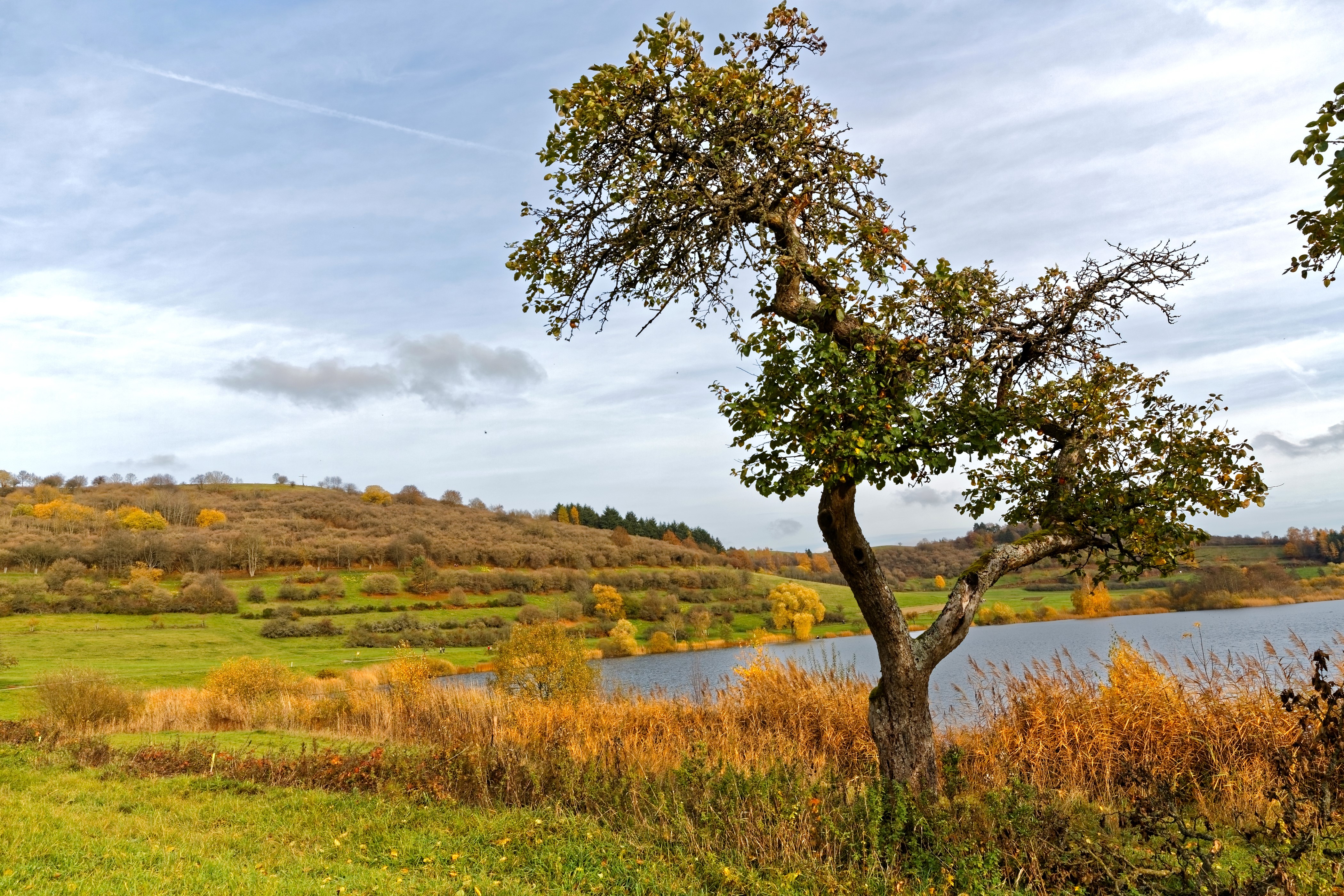 Autumn landscape with lake and trees in Schalkenmehren, Germany HD Wallpaper