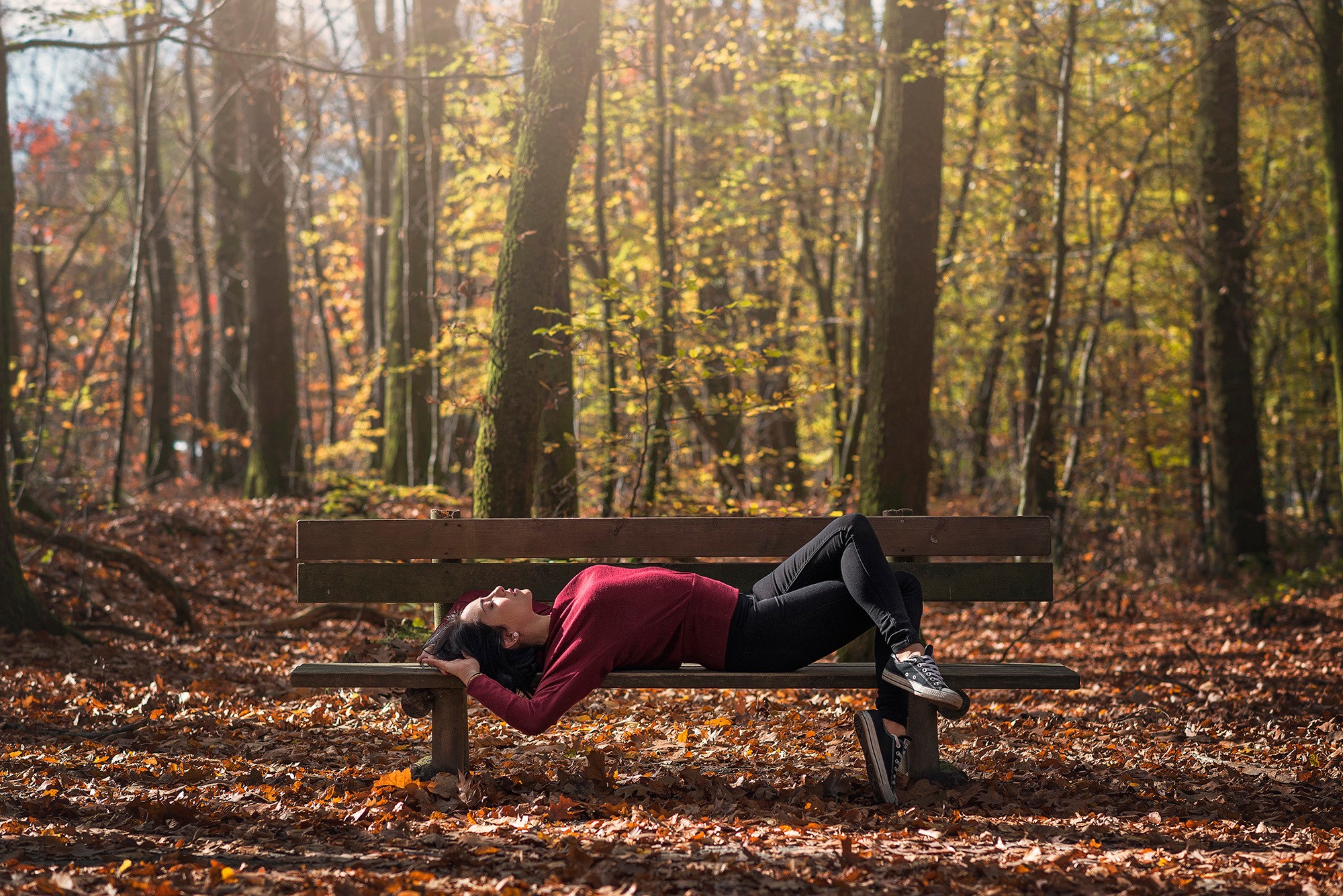 Leslie on a bench in autumn park HD Wallpaper