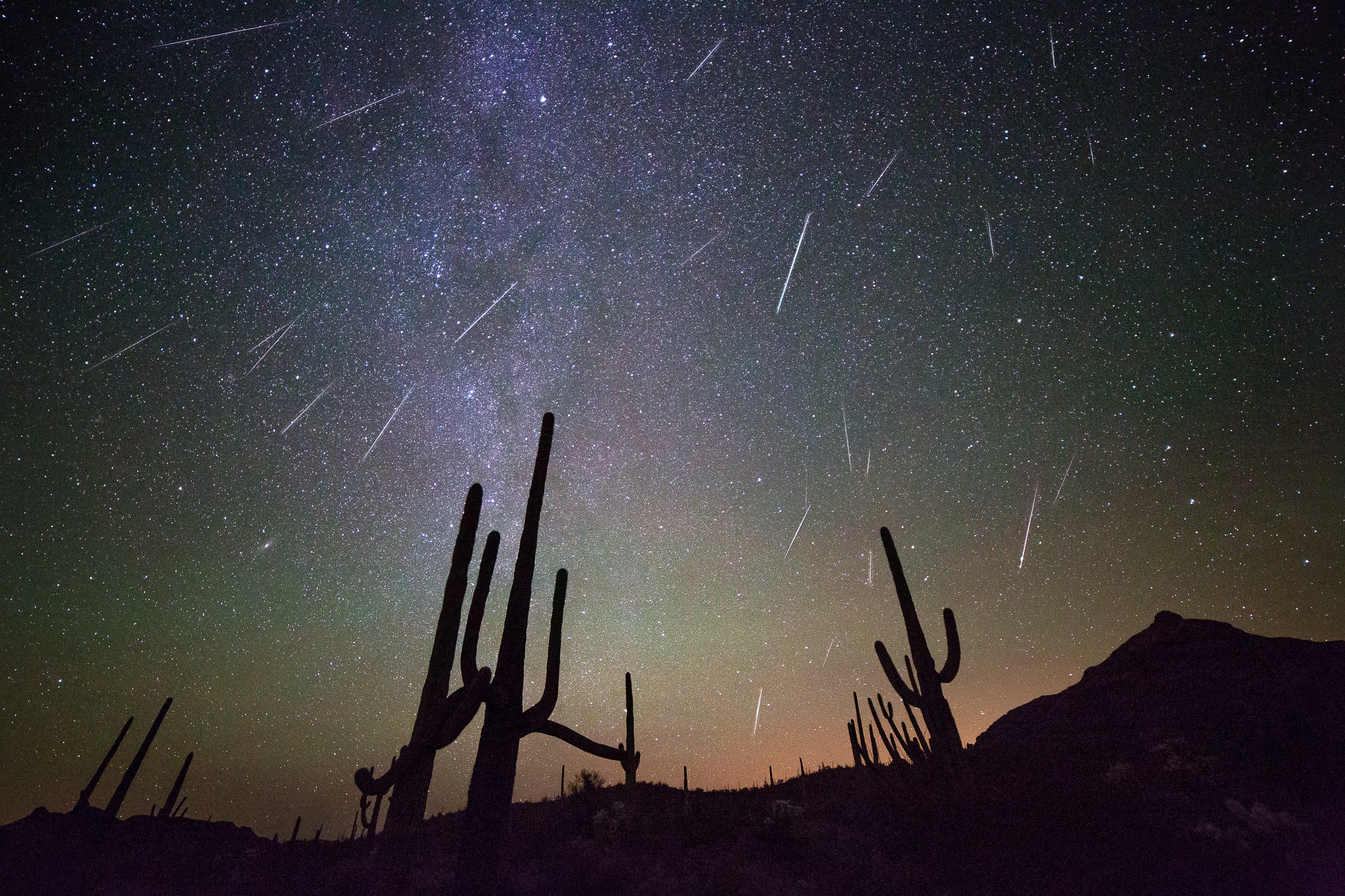Meteor shower over saguaro cacti at night HD Wallpaper