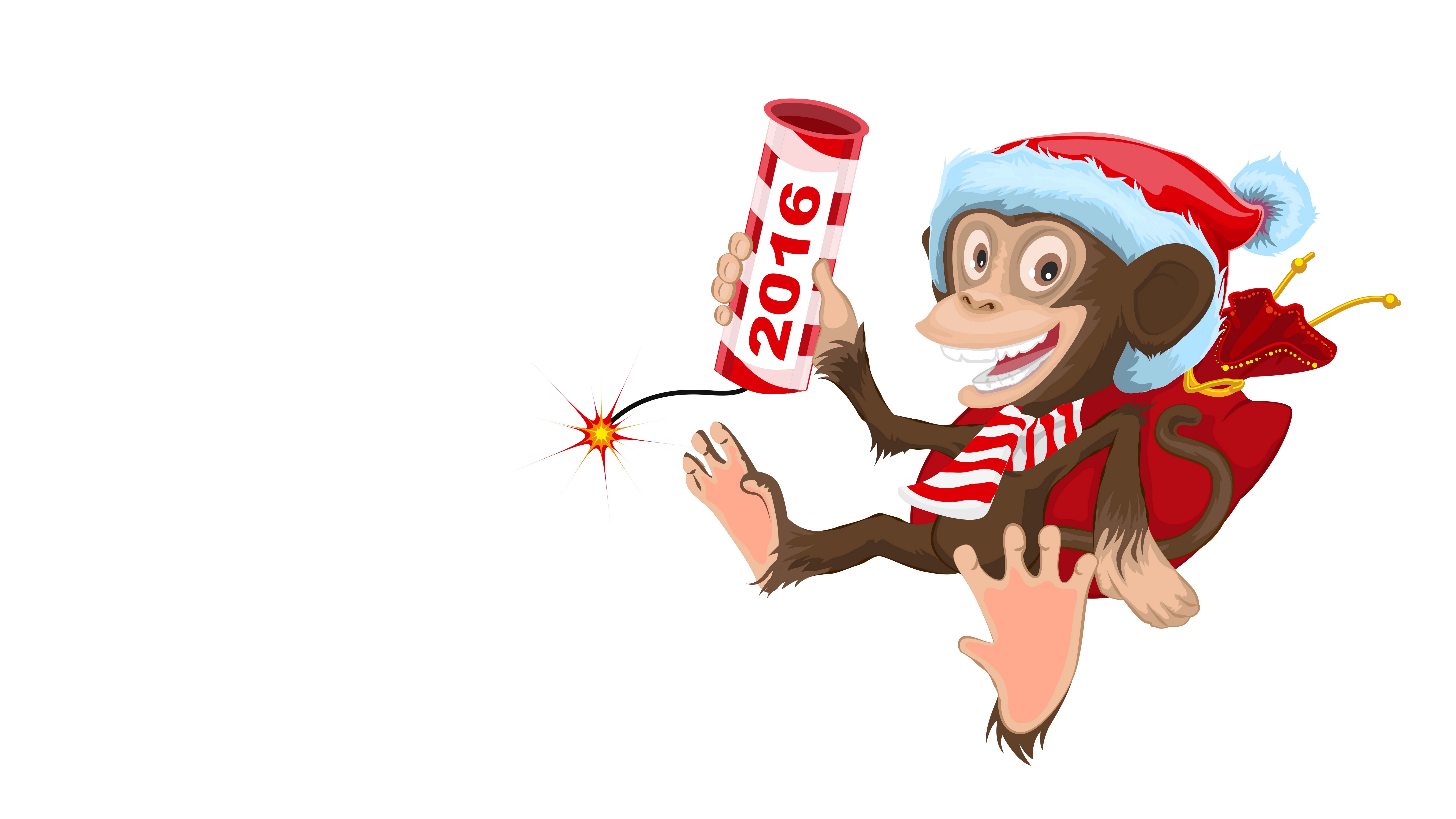Monkey with 2016 firecracker and Christmas hat HD Wallpaper