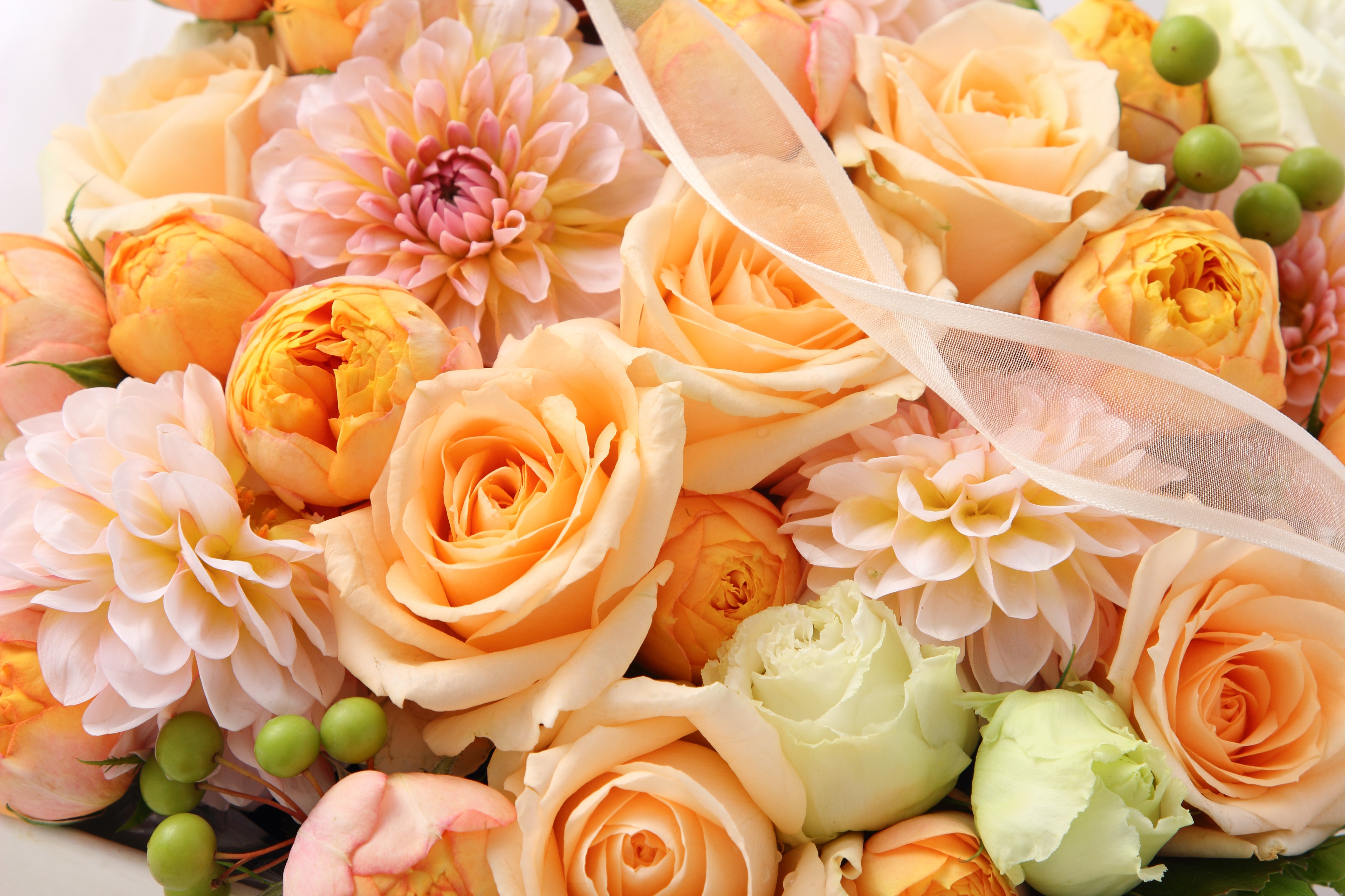 Peach and Orange Roses and Dahlias Bouquet HD Wallpaper