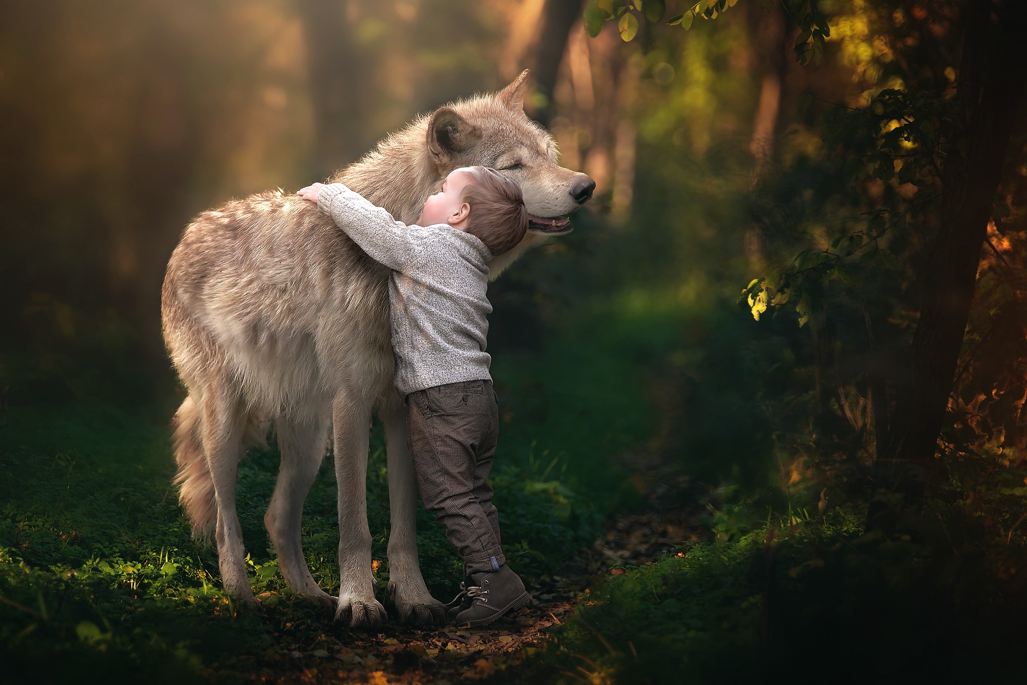 Boy hugging a wolf in a forest HD Wallpaper