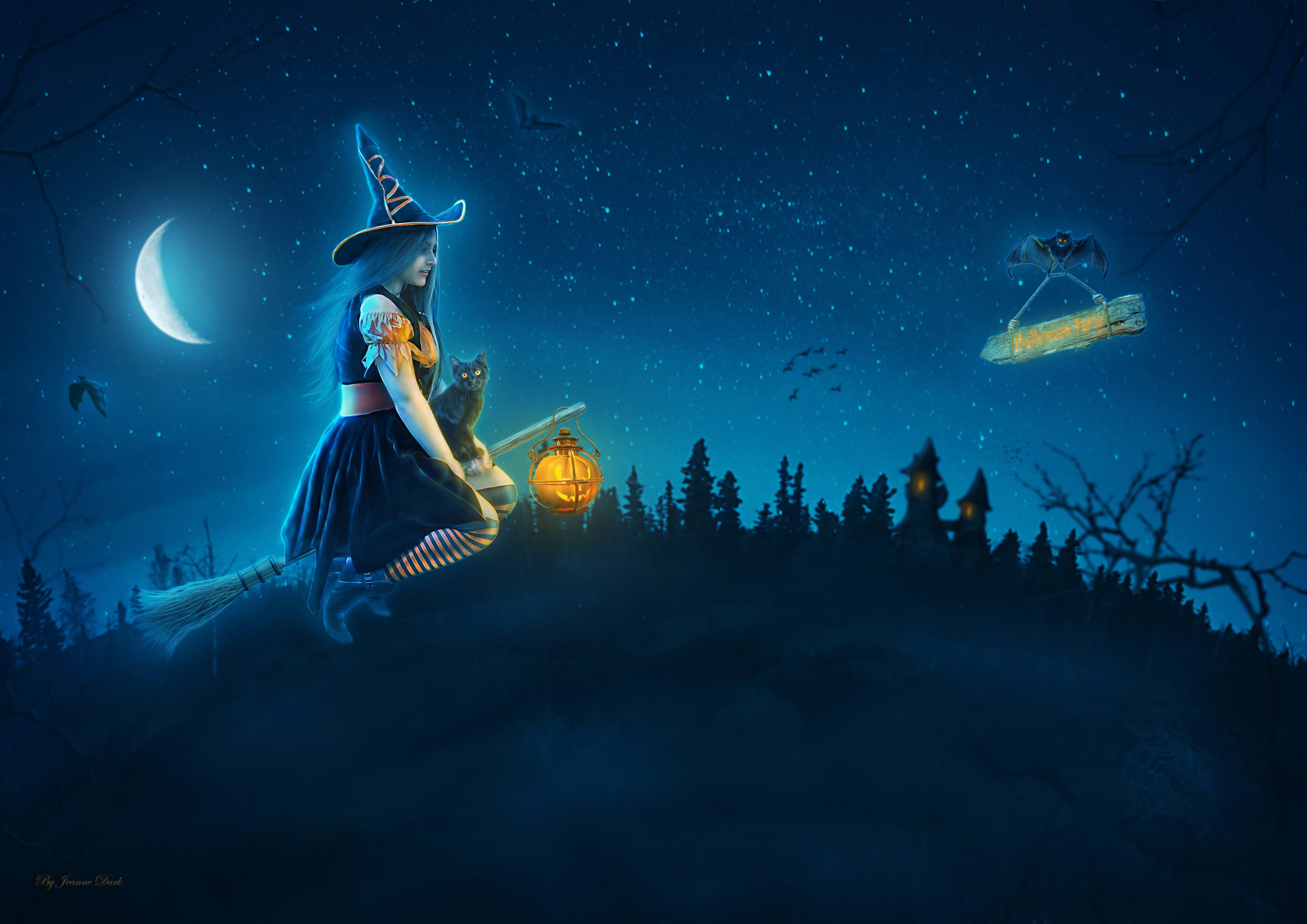 Witch and Black Cat Flying on Broomstick at Night HD Wallpaper