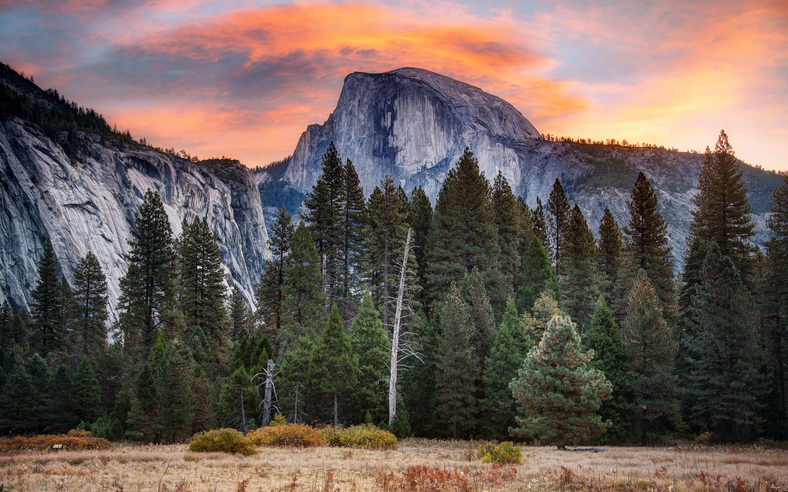Half Dome mountain at sunset with forest HD Wallpaper
