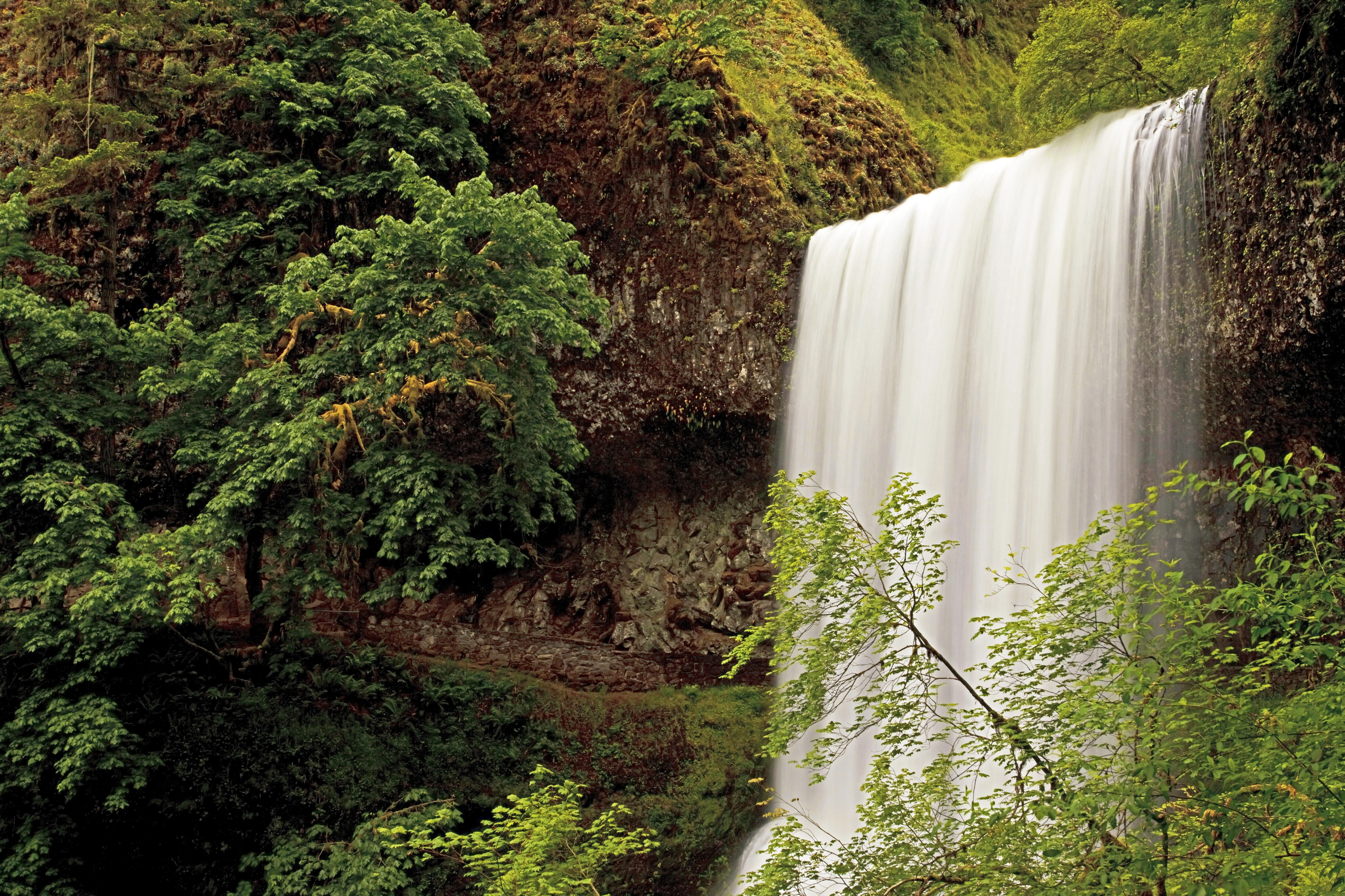 Silver Falls Oregon USA Waterfall Trees HD Wallpaper