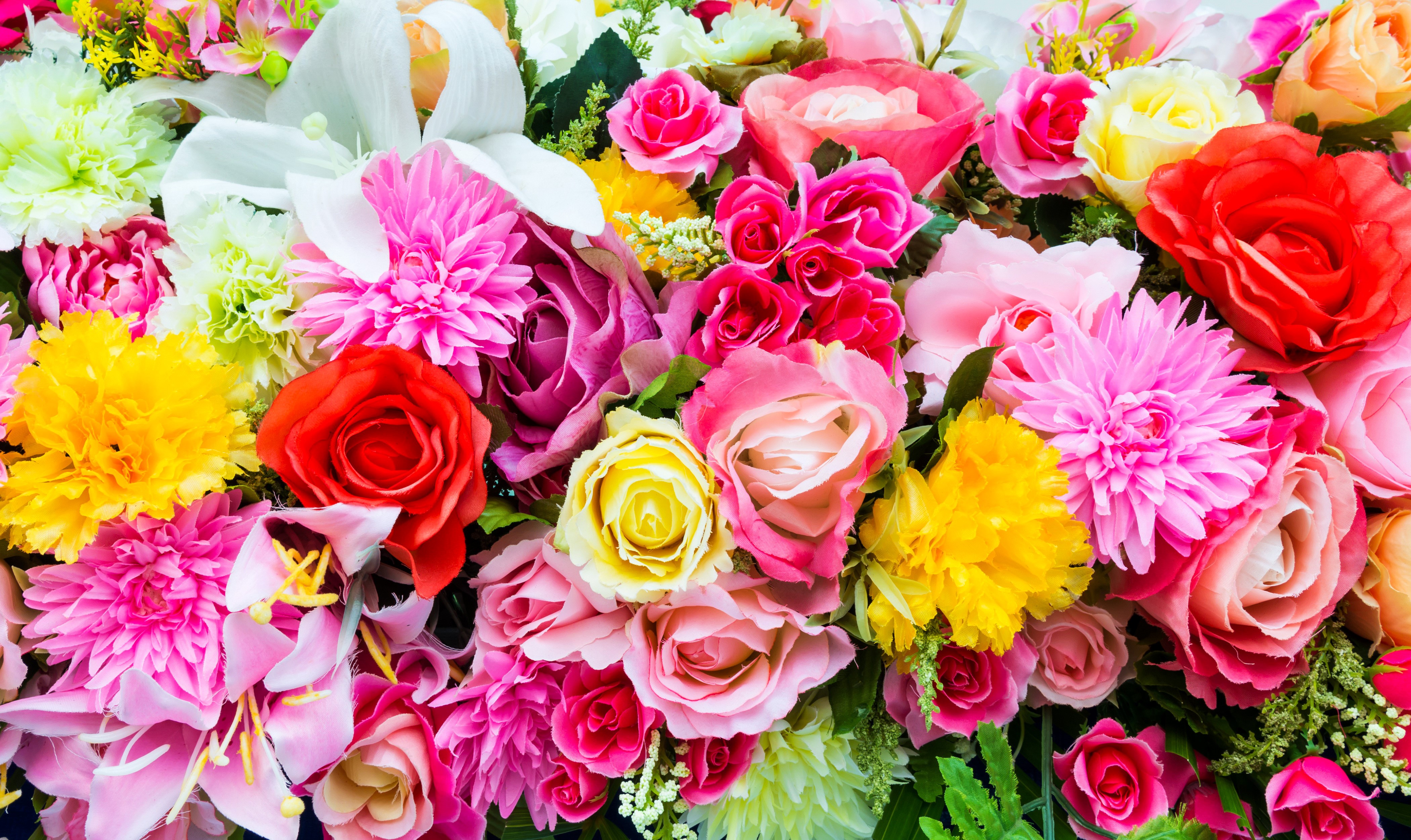4K Roses, Dahlias, and Lilies Closeup HD Wallpaper