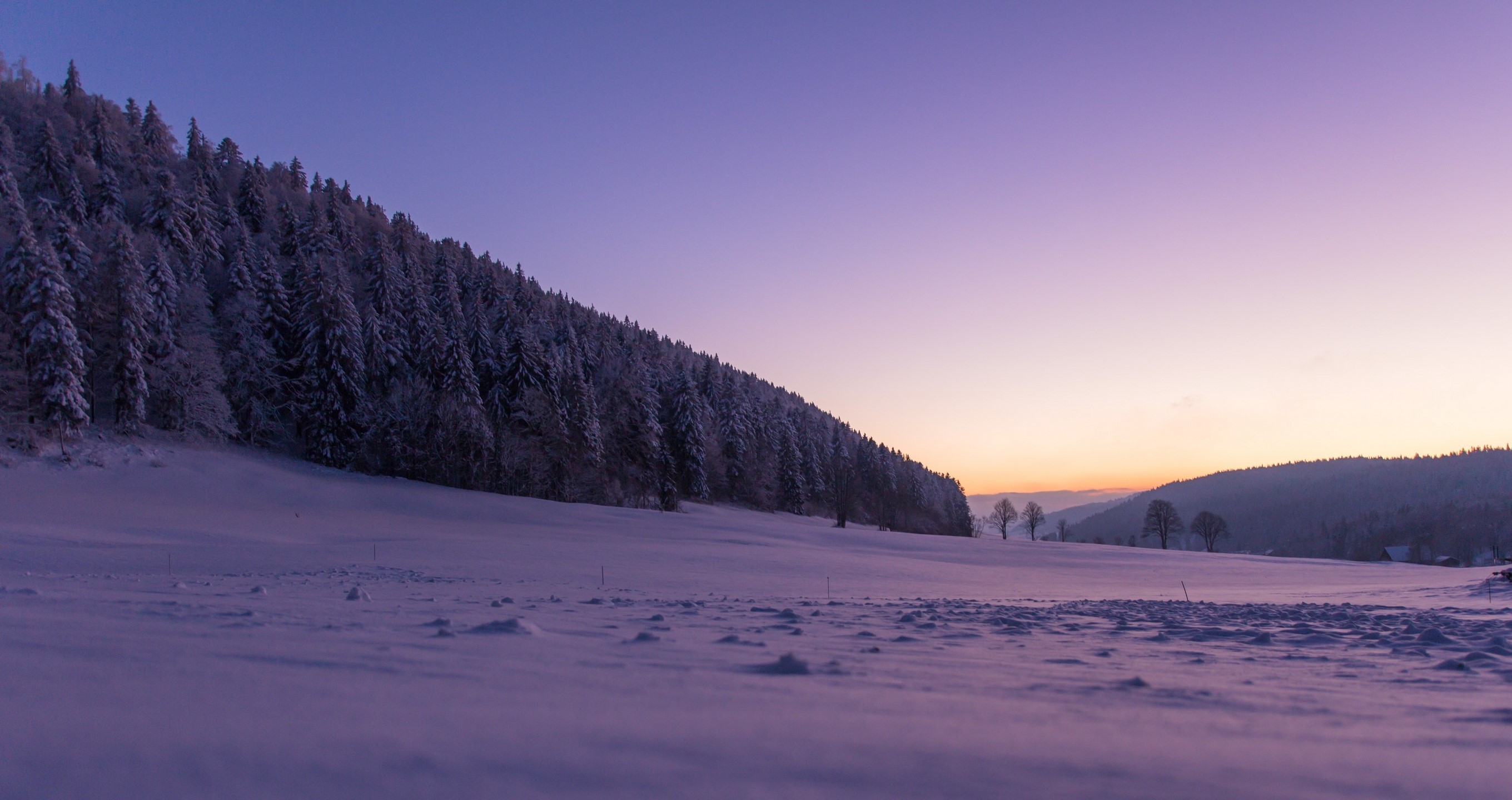 Winter sunset over snowy landscape with forest in La Sagne, Switzerland HD Wallpaper