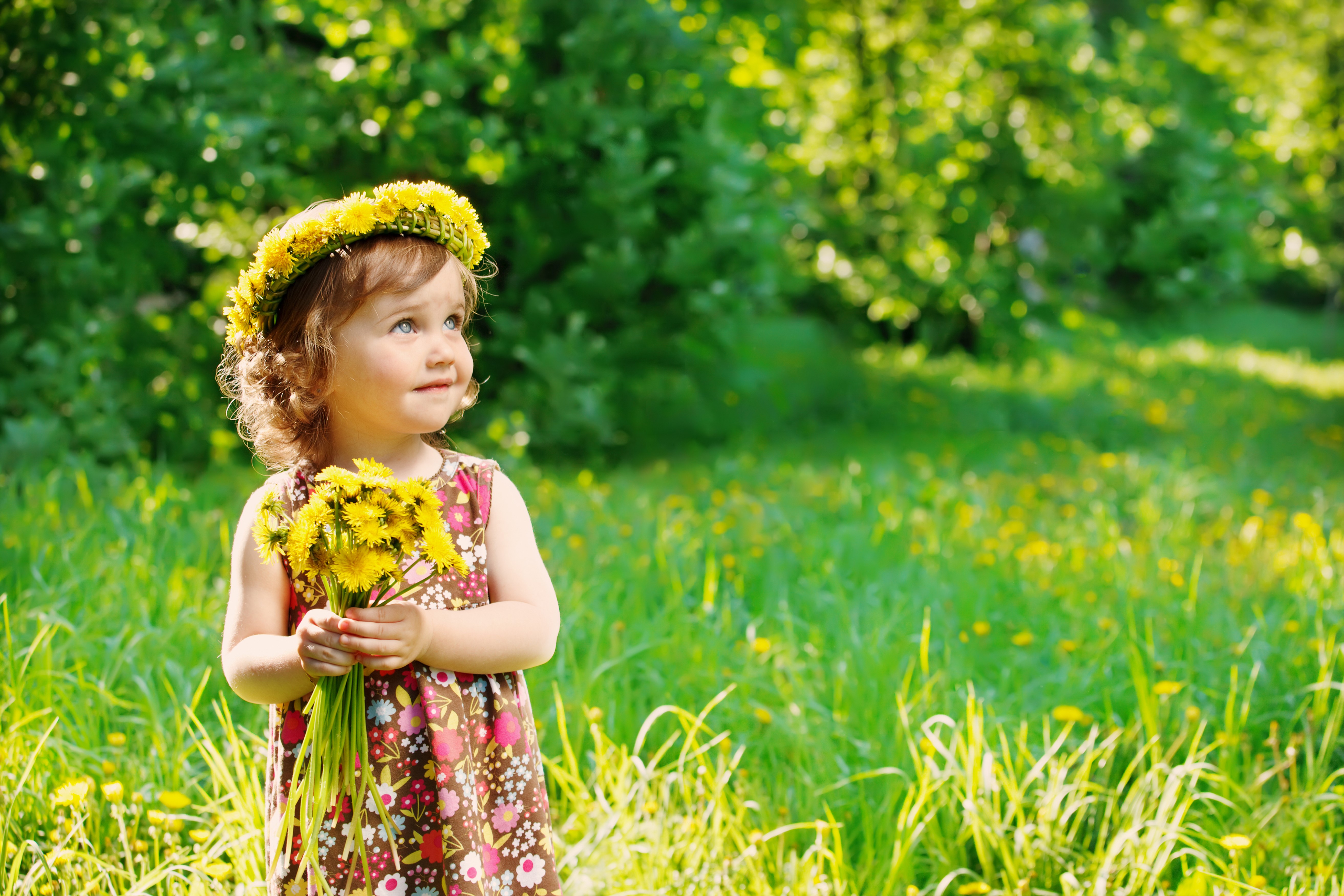 Little girl with dandelions in a field HD Wallpaper