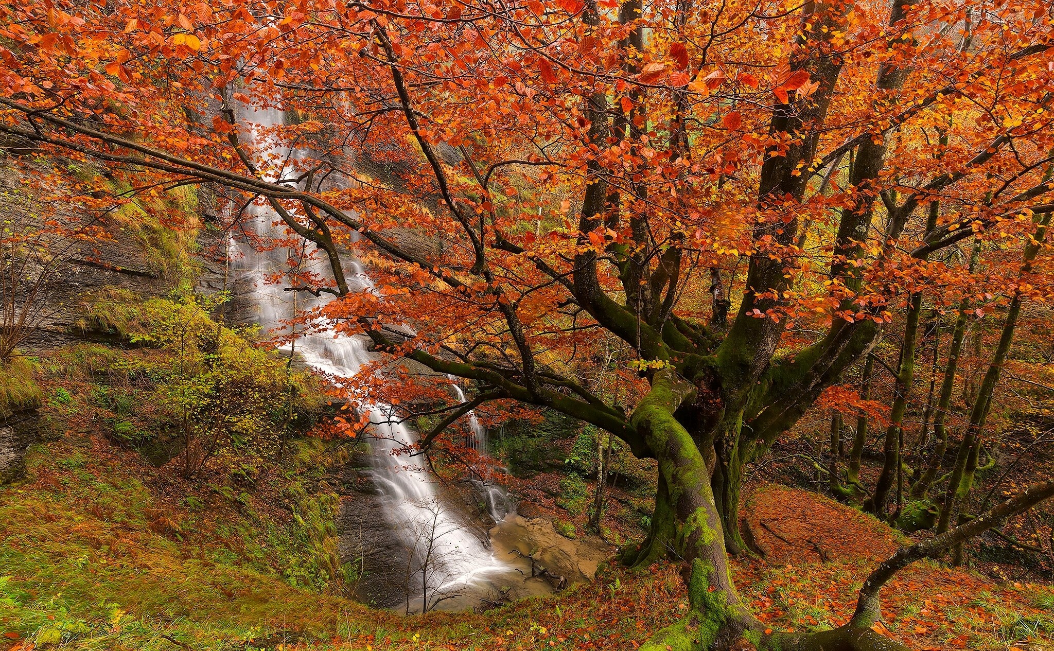 Uguna Waterfall in Gorbea Natural Park, Basque Country HD Wallpaper