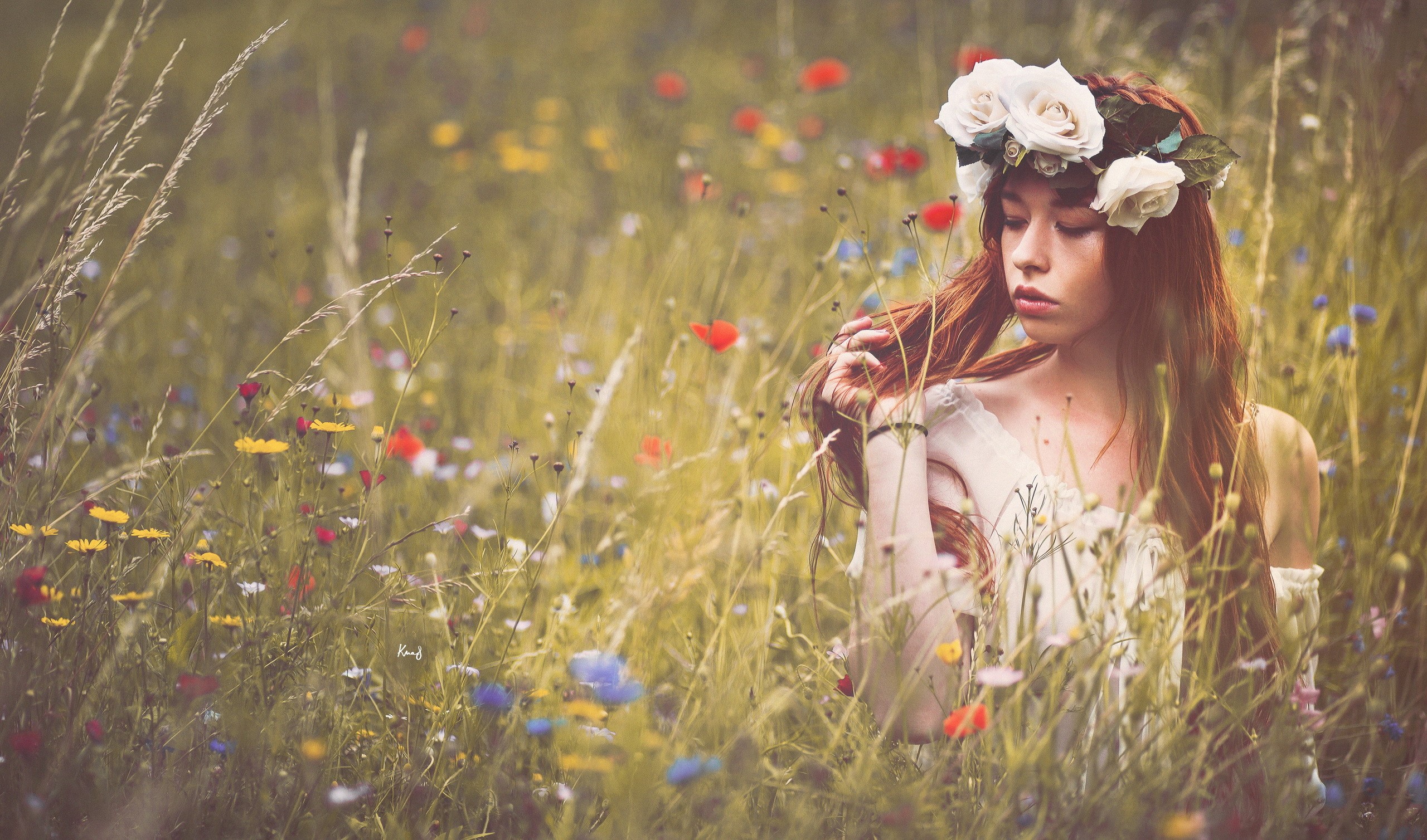 Woman with flower crown in a field of wildflowers HD Wallpaper
