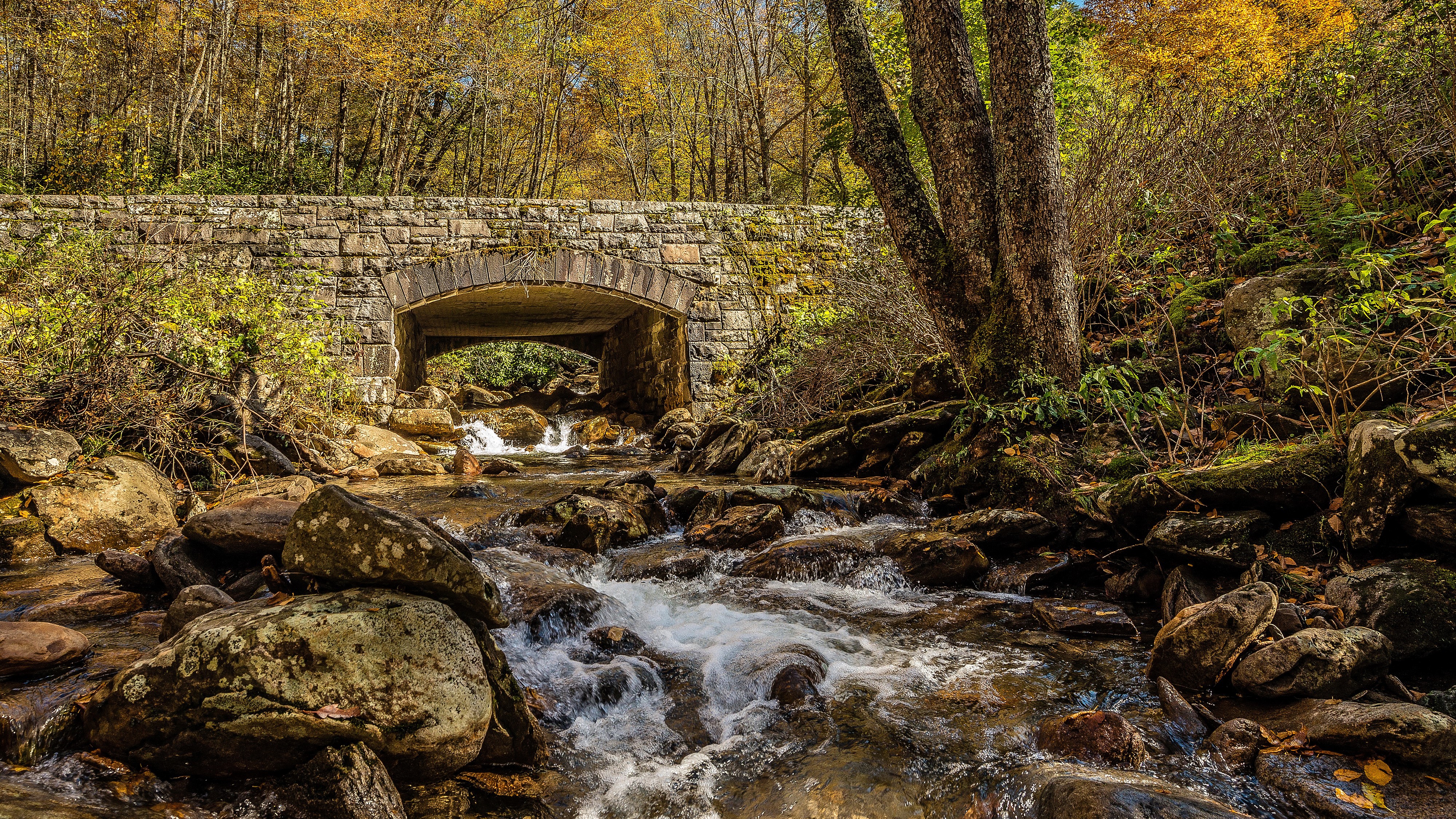 Stone bridge over a stream in autumn HD Wallpaper