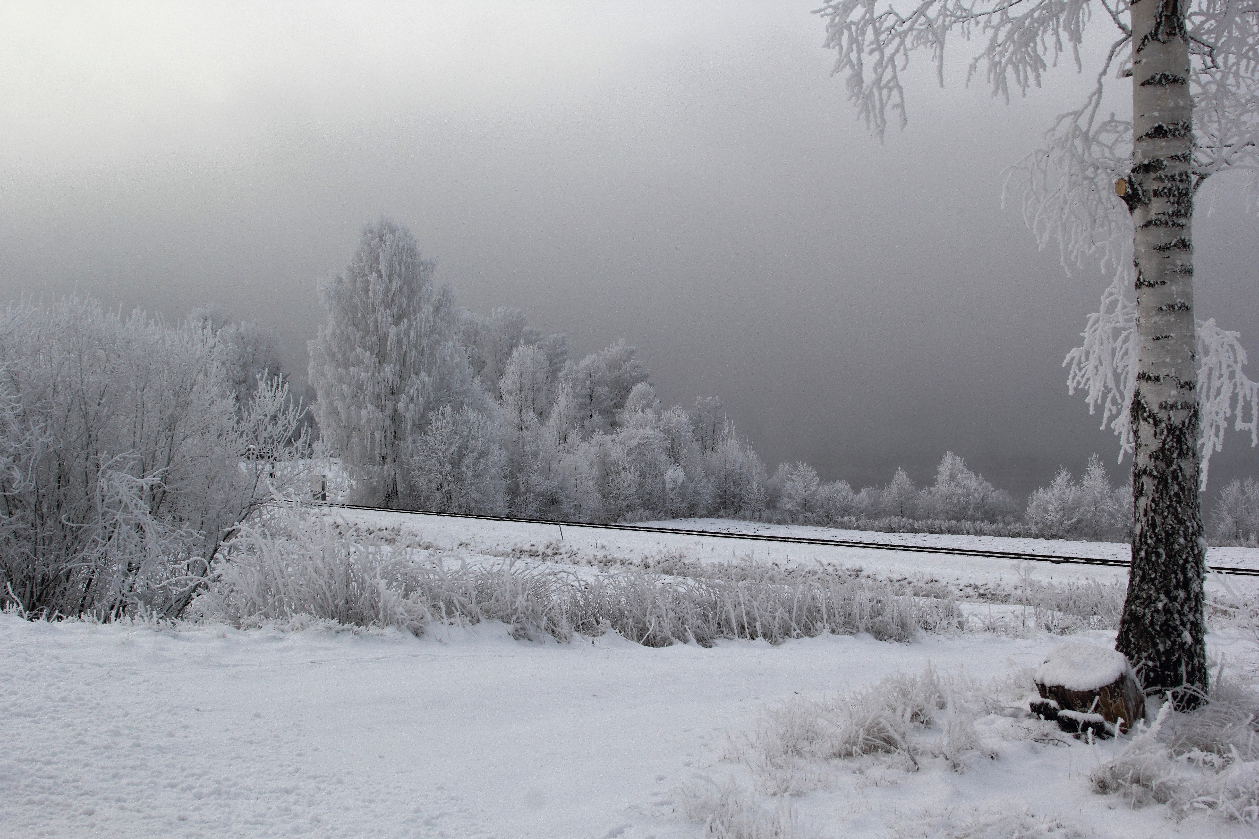 Winter scene with frosted trees and a railway track HD Wallpaper