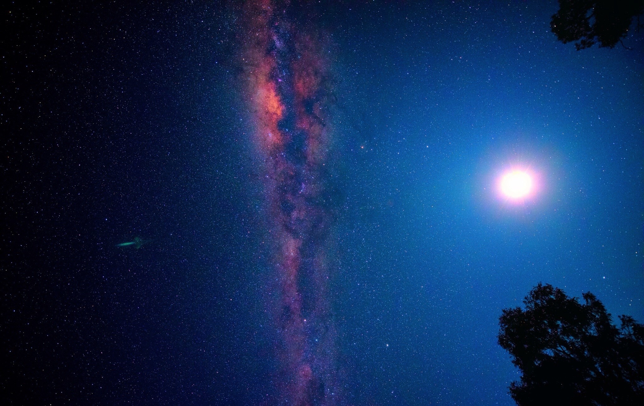 Milky Way galaxy with moon and tree silhouette HD Wallpaper
