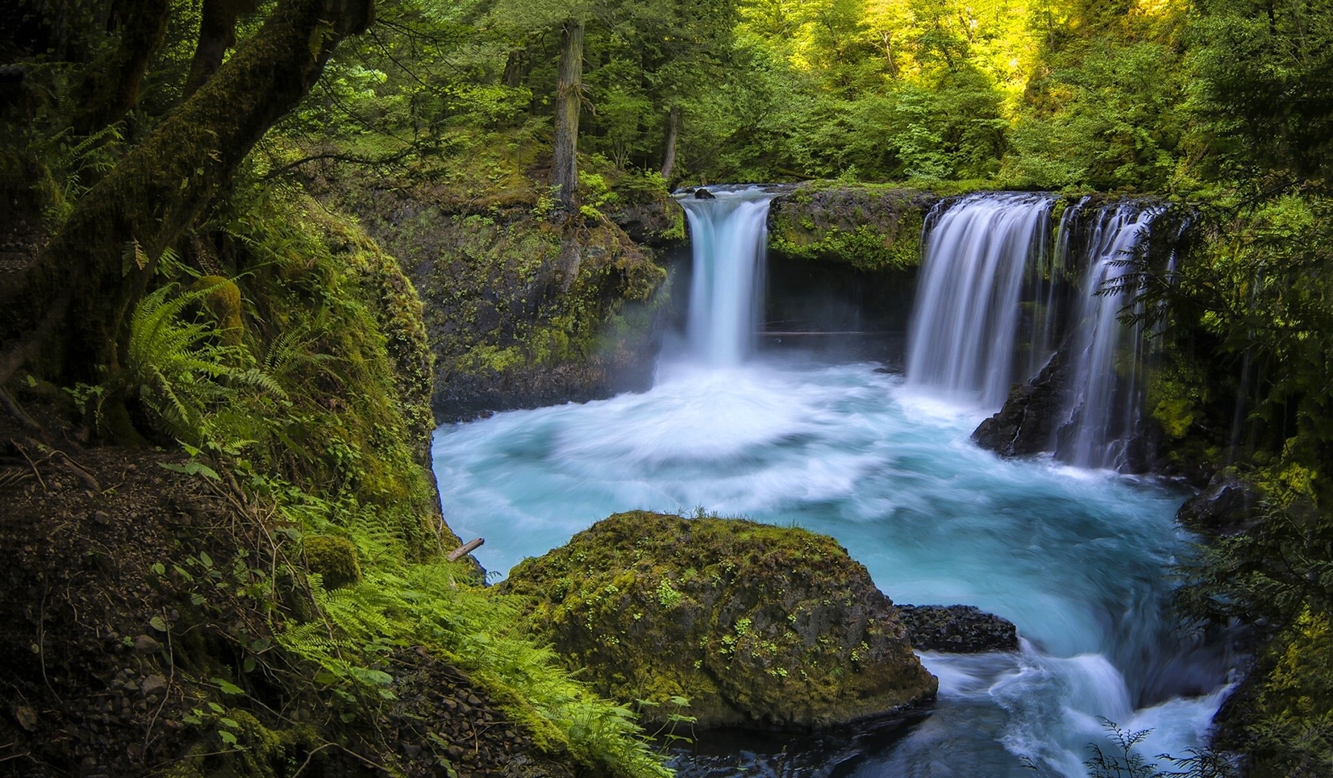Waterfalls in a lush forest in Washington HD Wallpaper