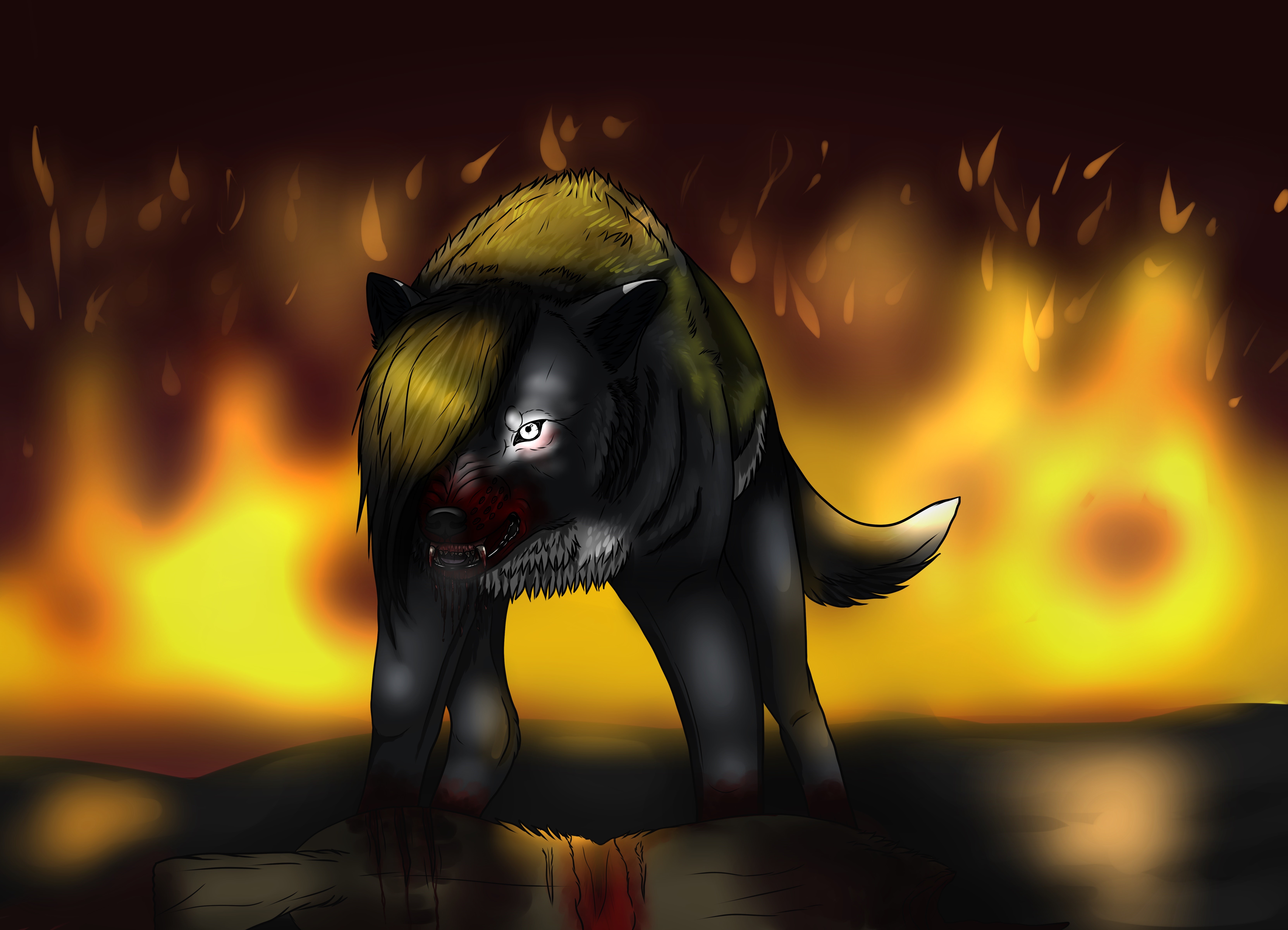 Wolf with blood in front of fire HD Wallpaper
