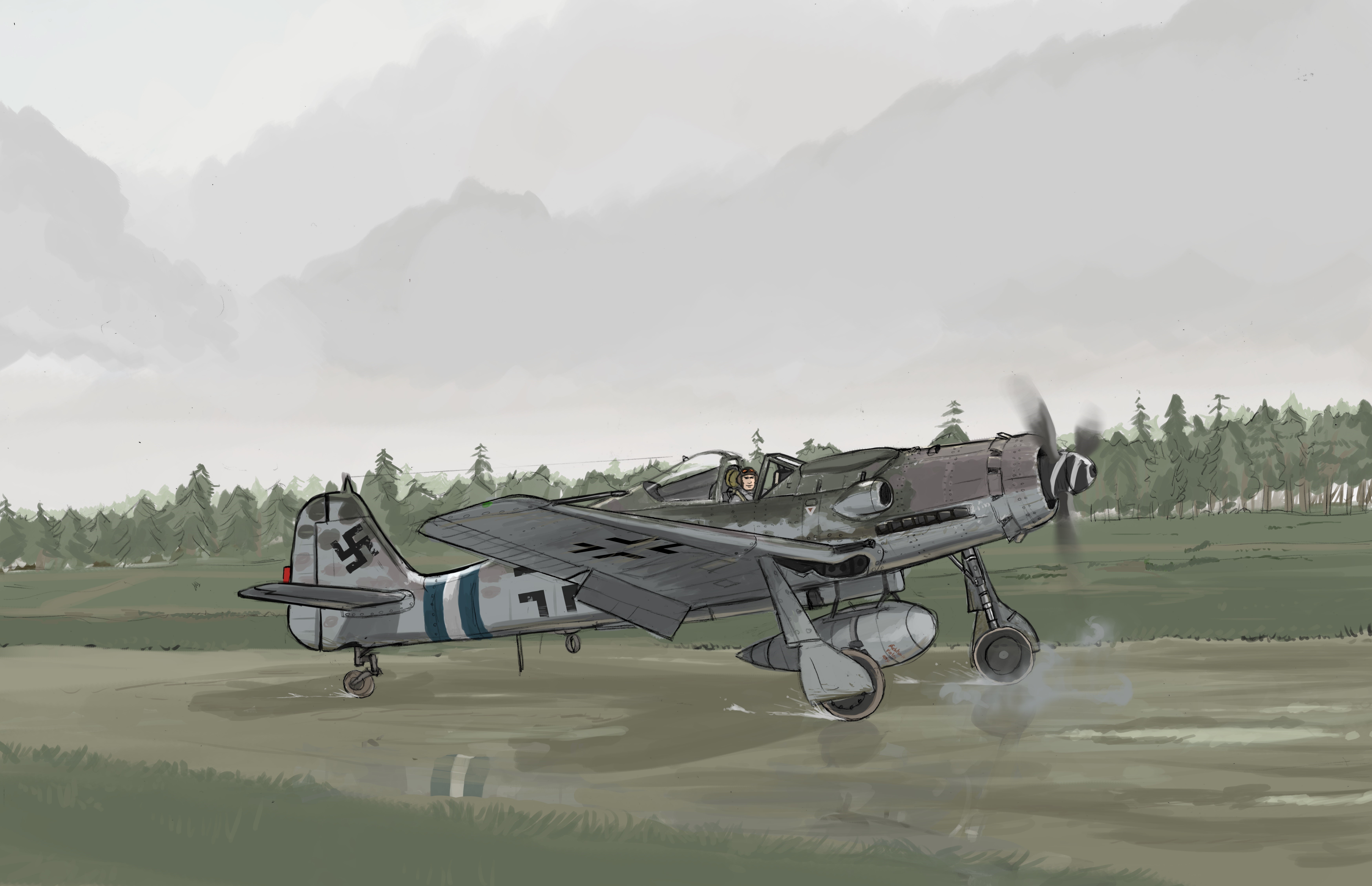 Focke-Wulf Fw 190 fighter airplane on a grassy field HD Wallpaper