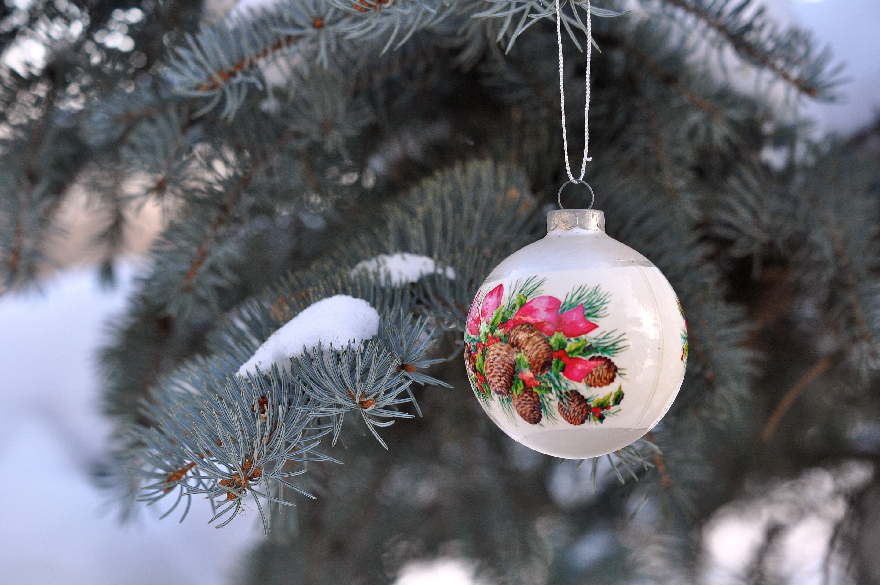 Christmas ornament with pine cones on a snowy pine branch HD Wallpaper