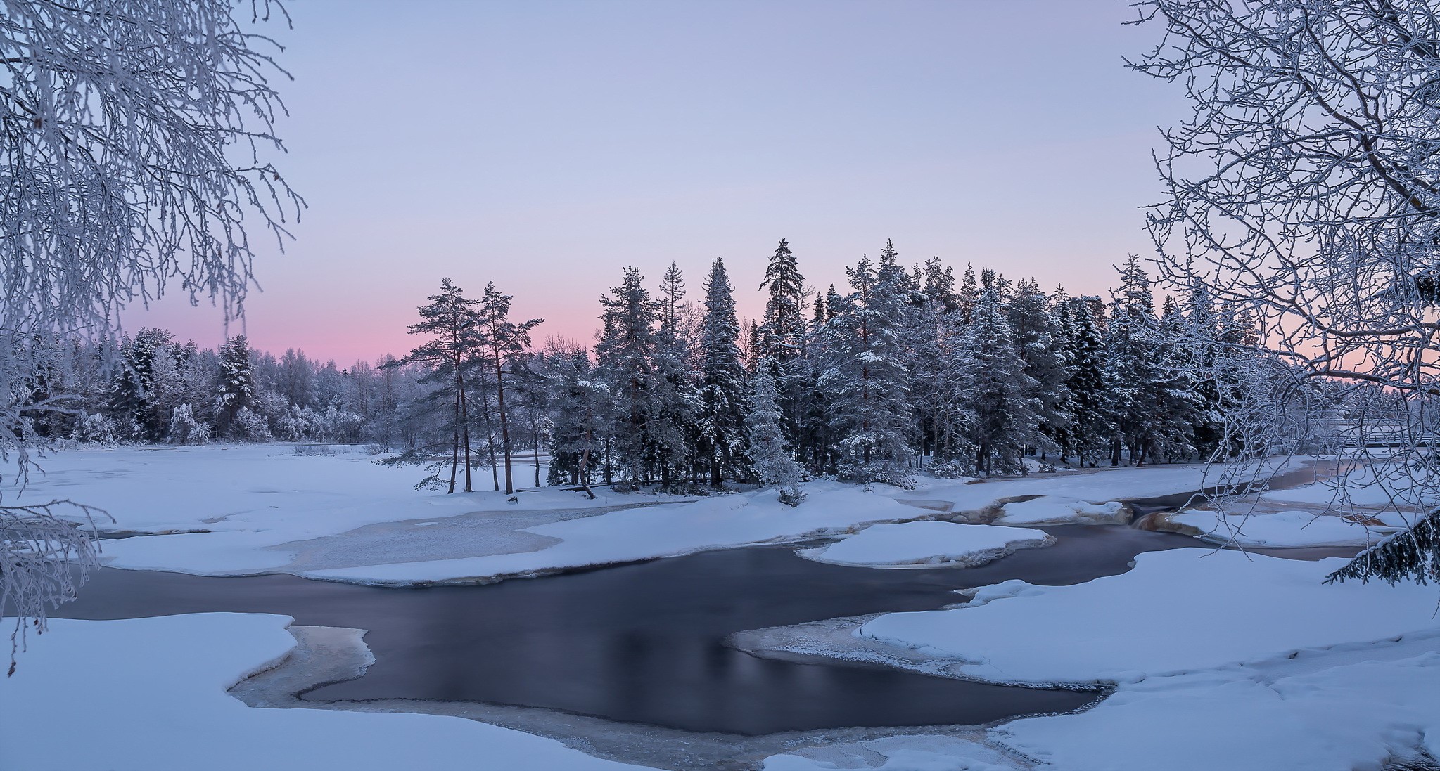 Frozen river and snow-covered forest at sunrise HD Wallpaper