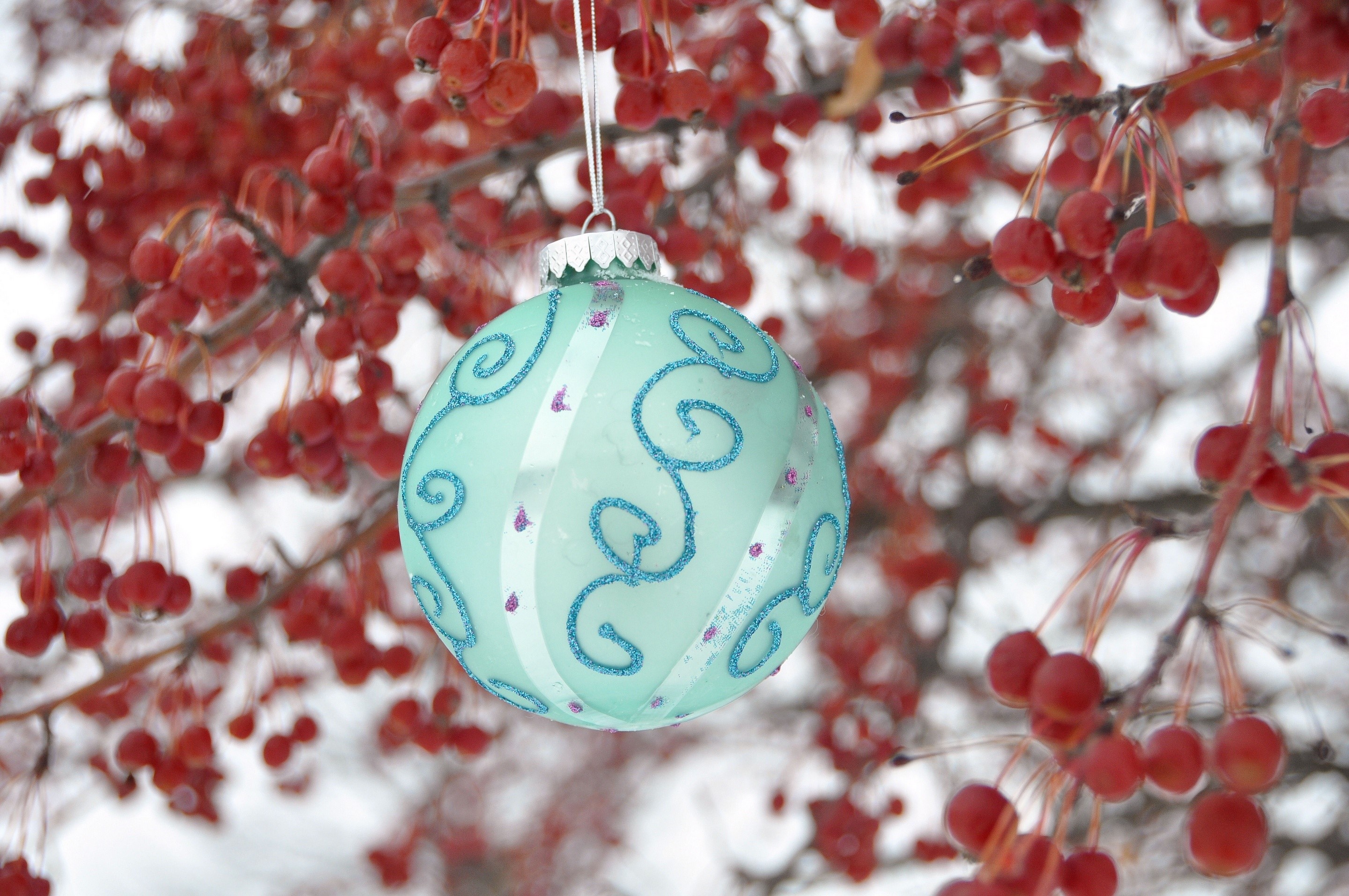 Christmas ornament hanging on a branch with red berries HD Wallpaper