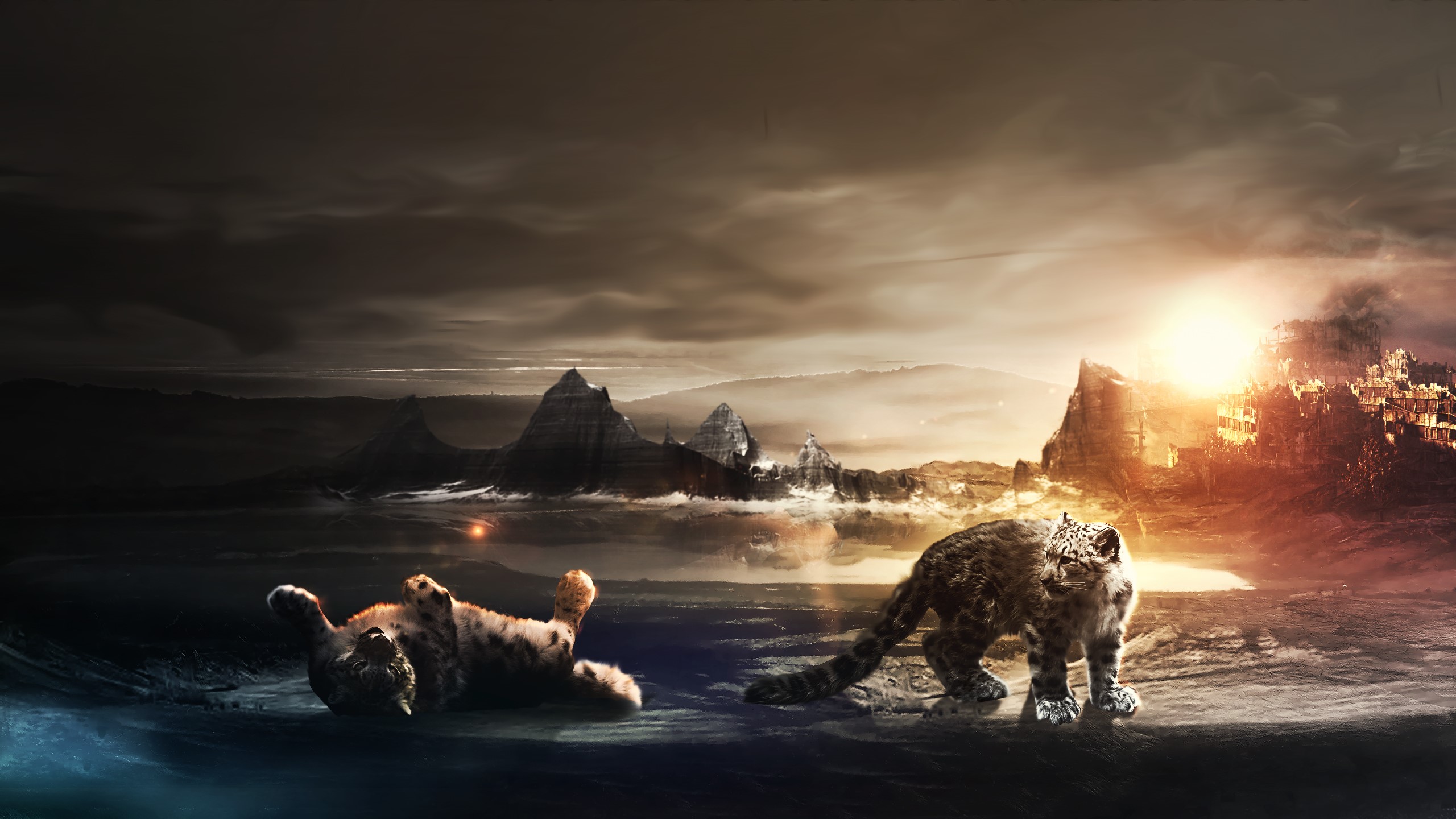 Two snow leopards in a surreal landscape HD Wallpaper
