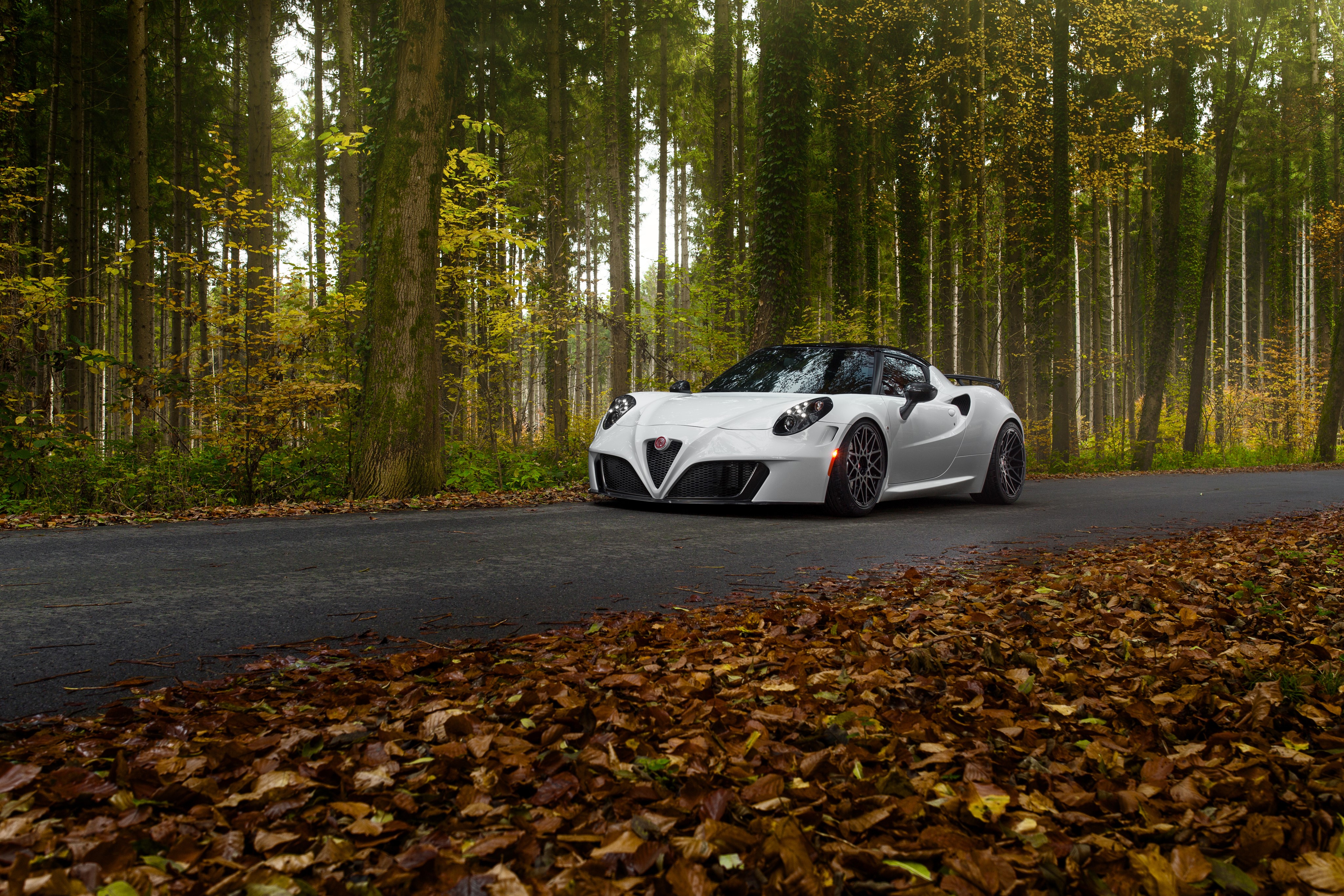 White Alfa Romeo 4C by Pogea Racing in Forest HD Wallpaper