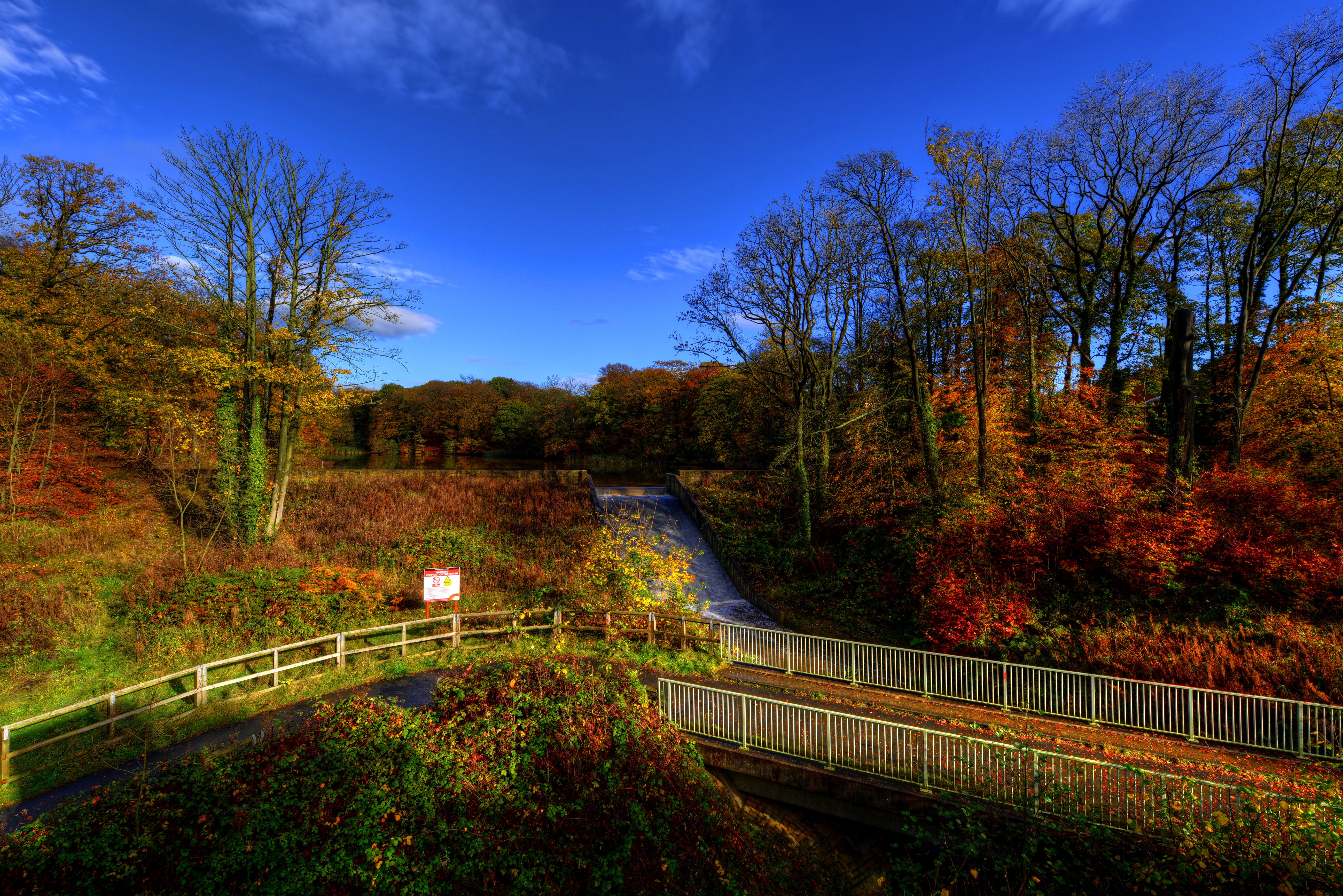 Autumn park with trees and a bridge in England HD Wallpaper